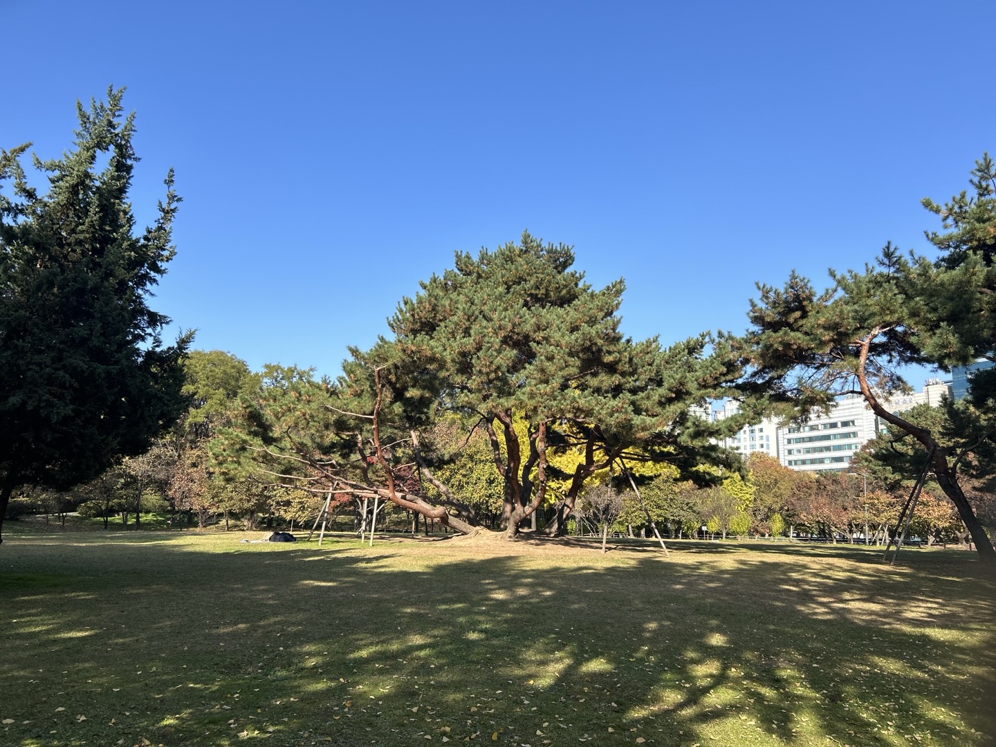 무민 세무회계 대표 이미지