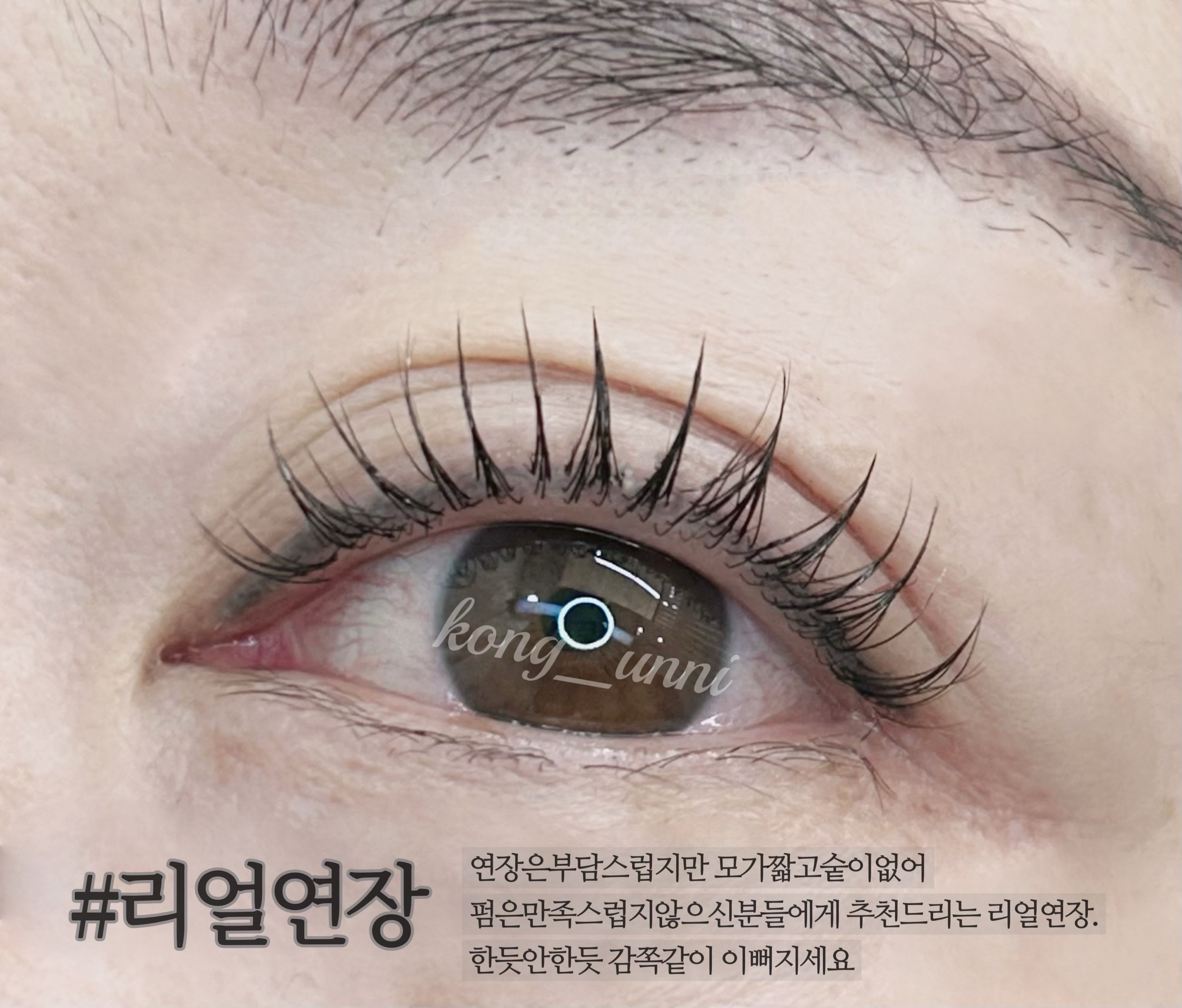 콩이언니