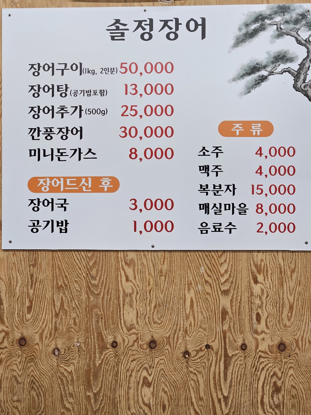 솔정장어