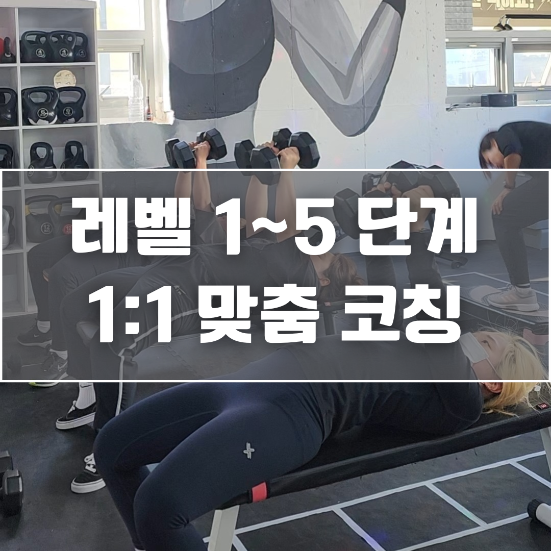 리베핏 대표 이미지