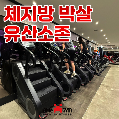 에이블짐 어린이대공원점