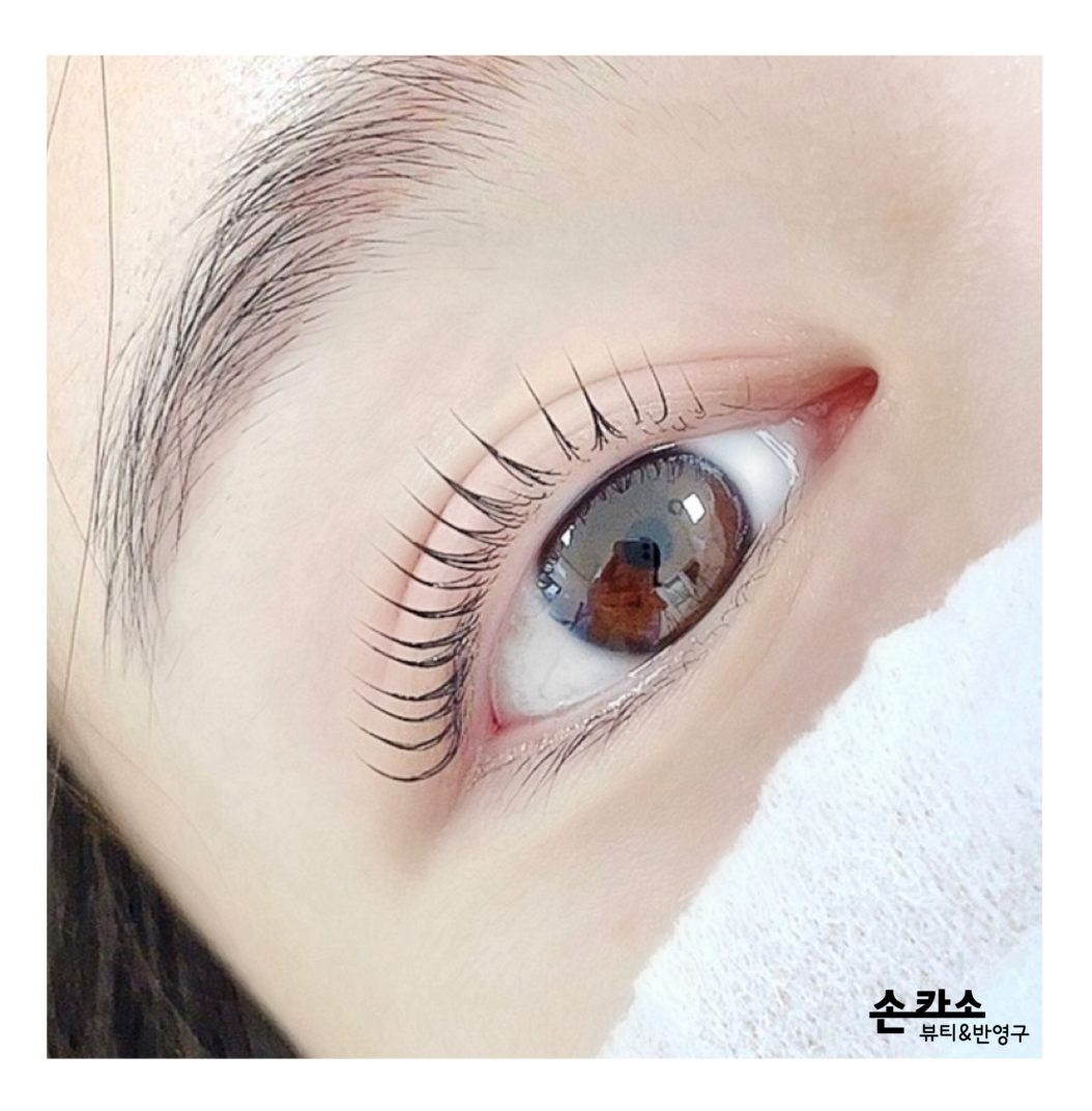 손카소뷰티