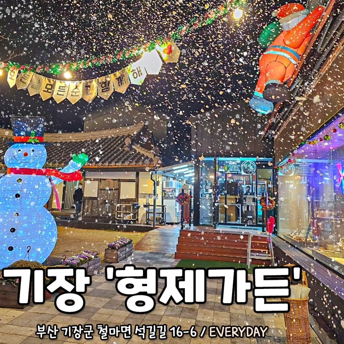형제가든 부산 애견맛집
