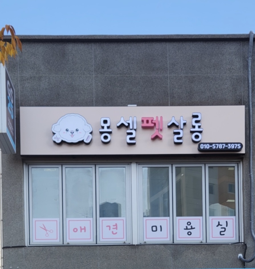 몽셀펫살롱