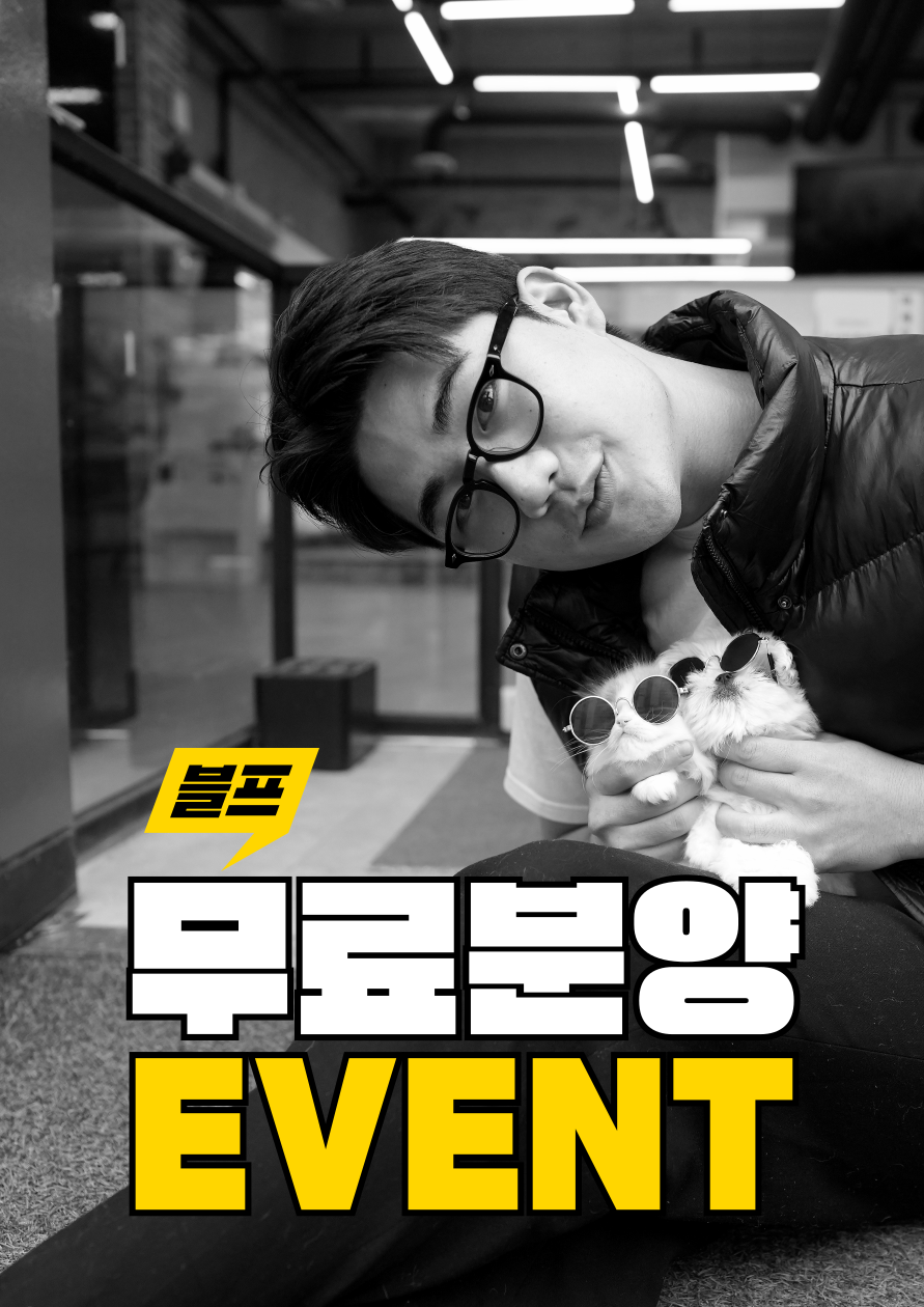 광주강아지분양 고양이분양 미유펫 광주본점