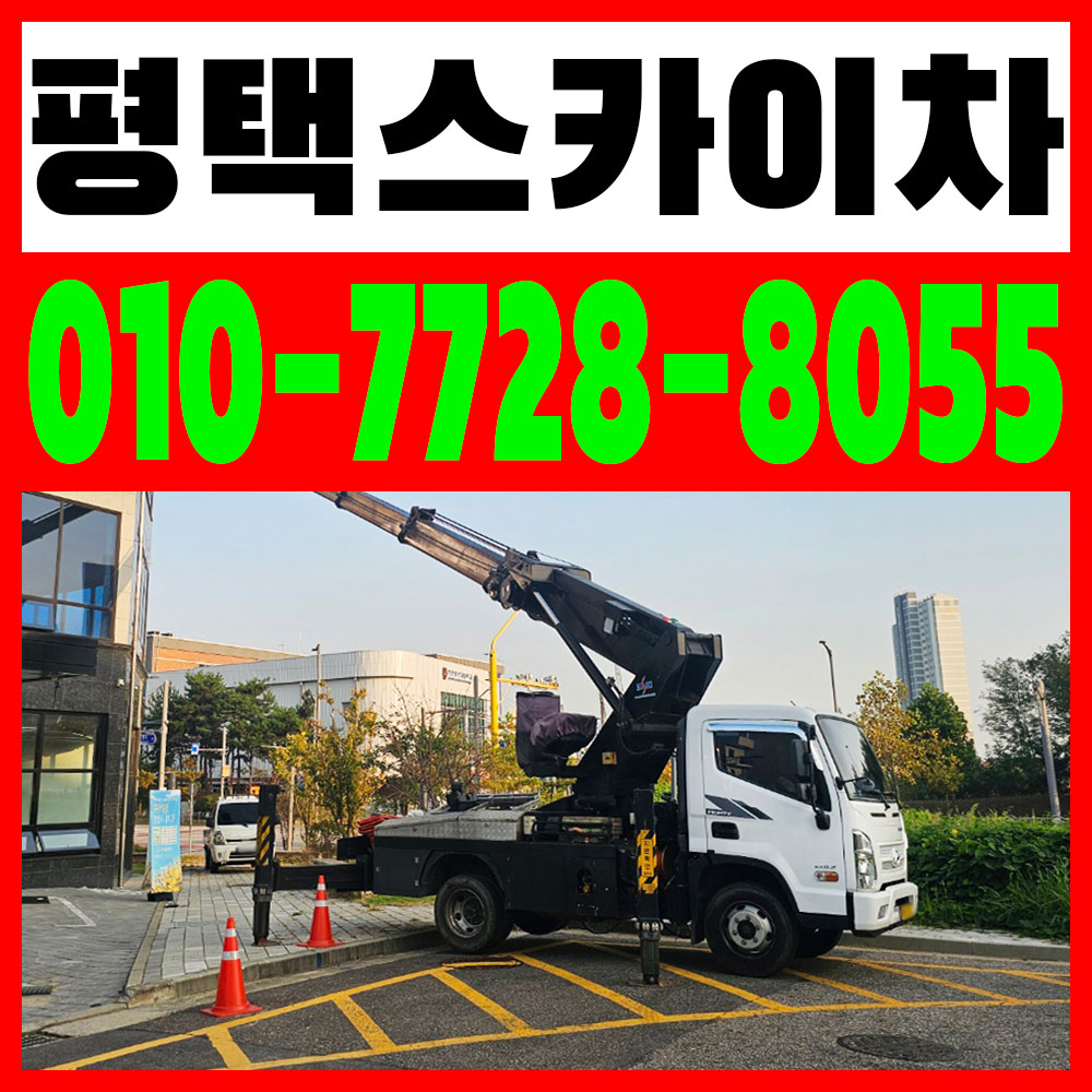 스카이