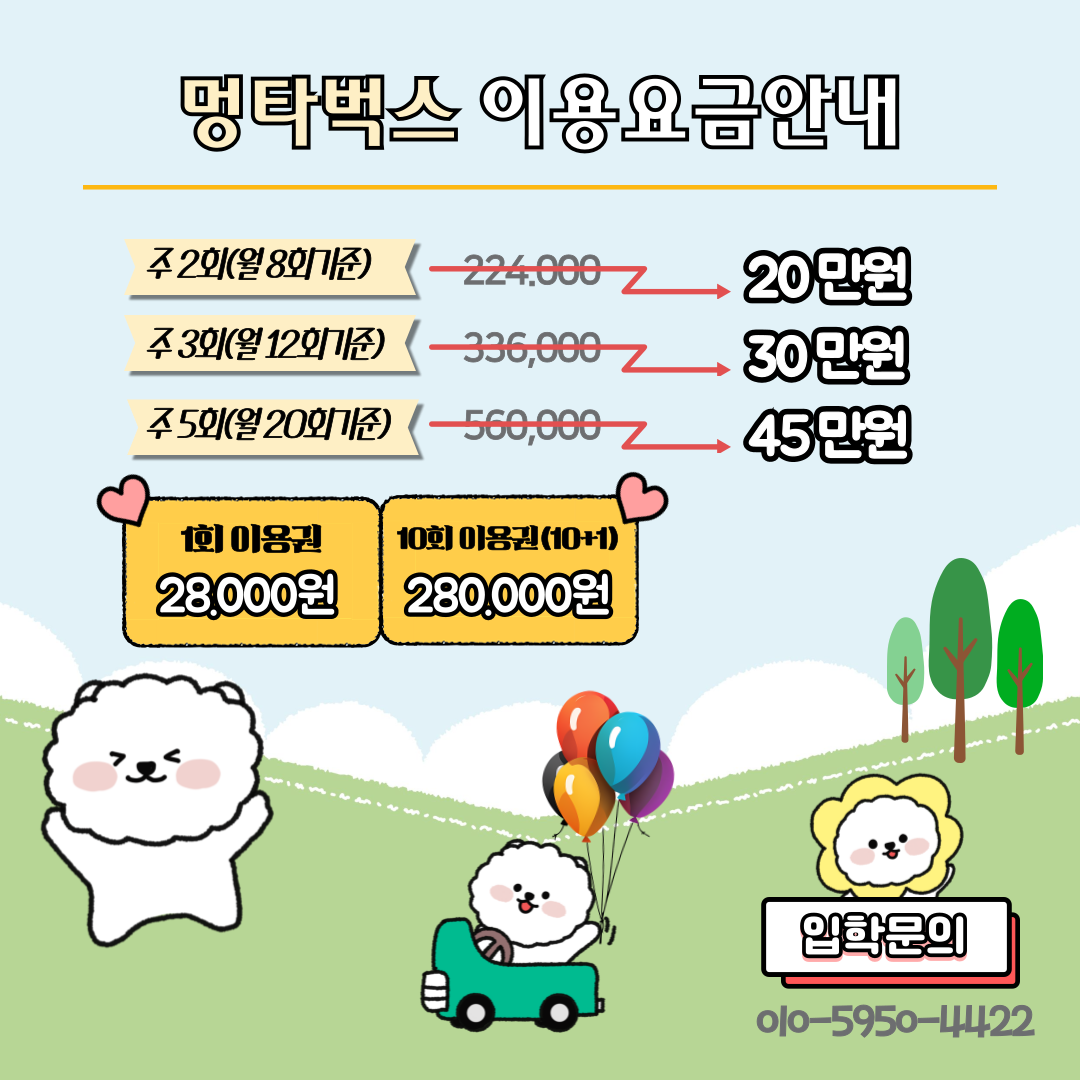 사진 5
