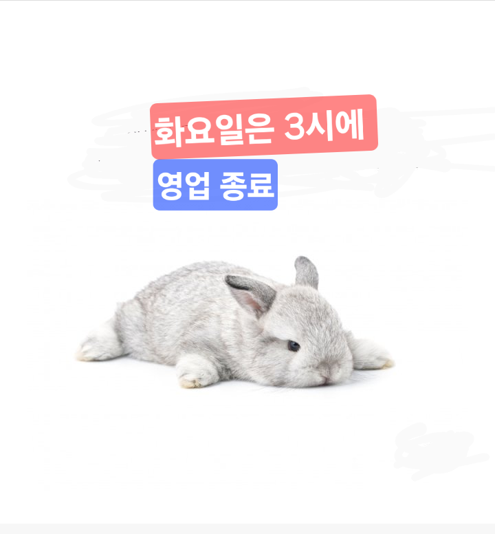 우리돈까스