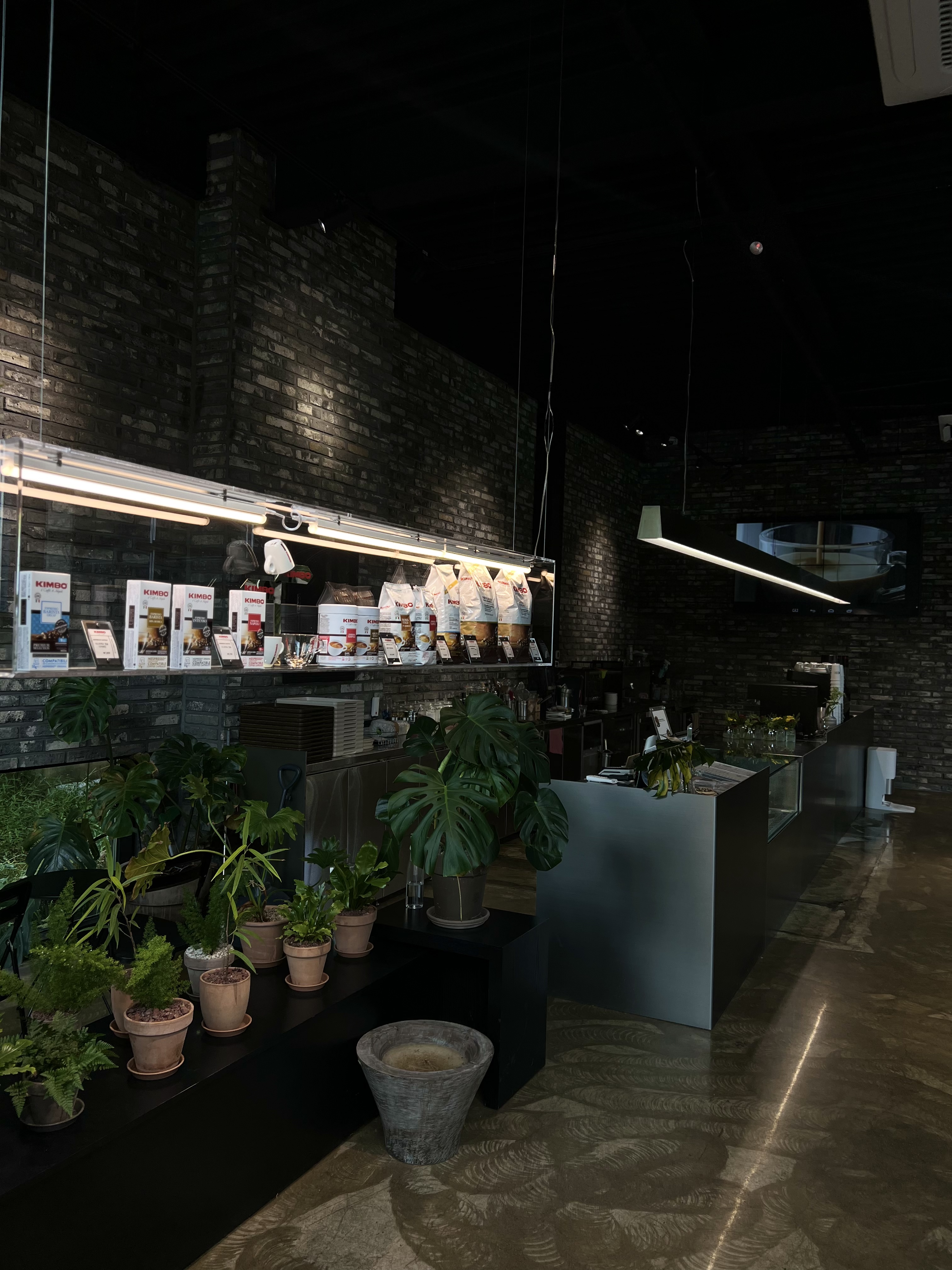 루트플랜트 대표 이미지