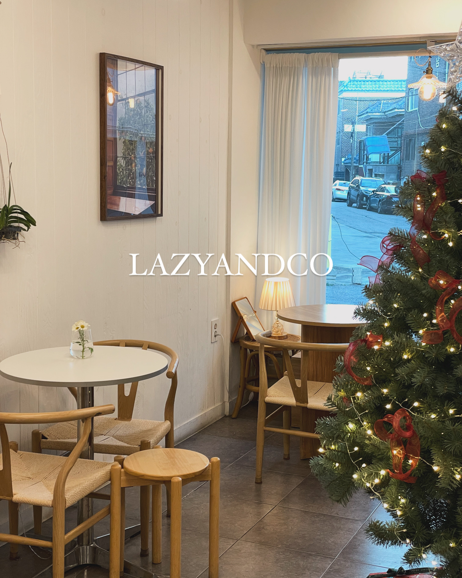 벚꽃 레이지앤코 대표 이미지