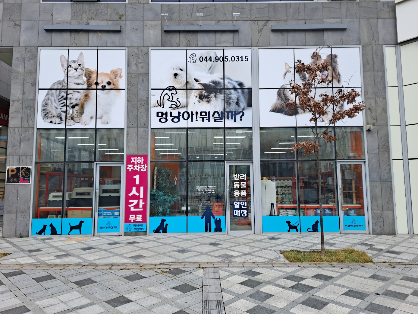 멍냥아 뭐살까