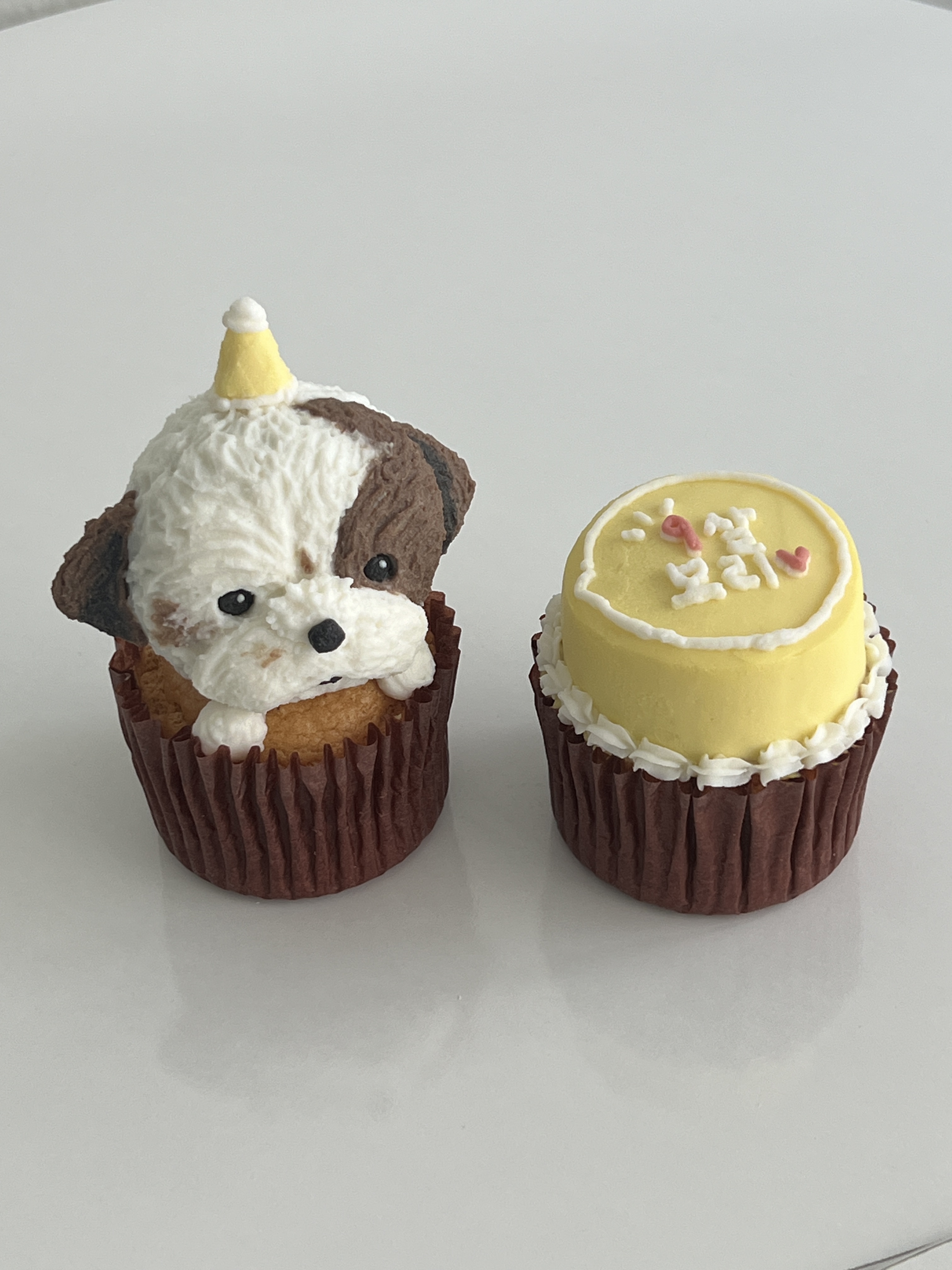 몰래멍냥 대표 이미지