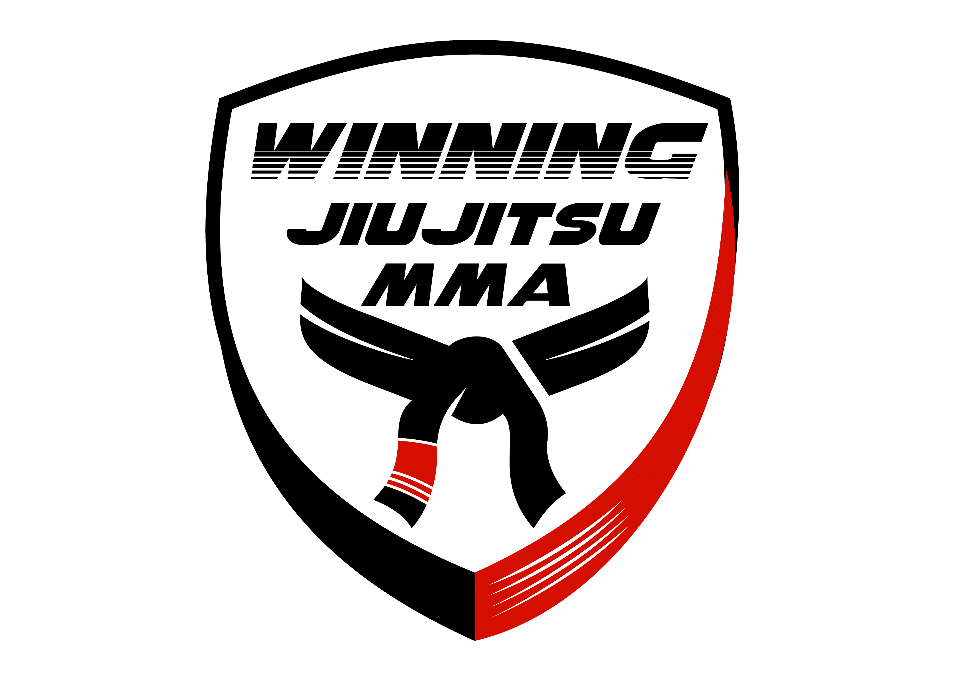 광주위닝주짓수MMA