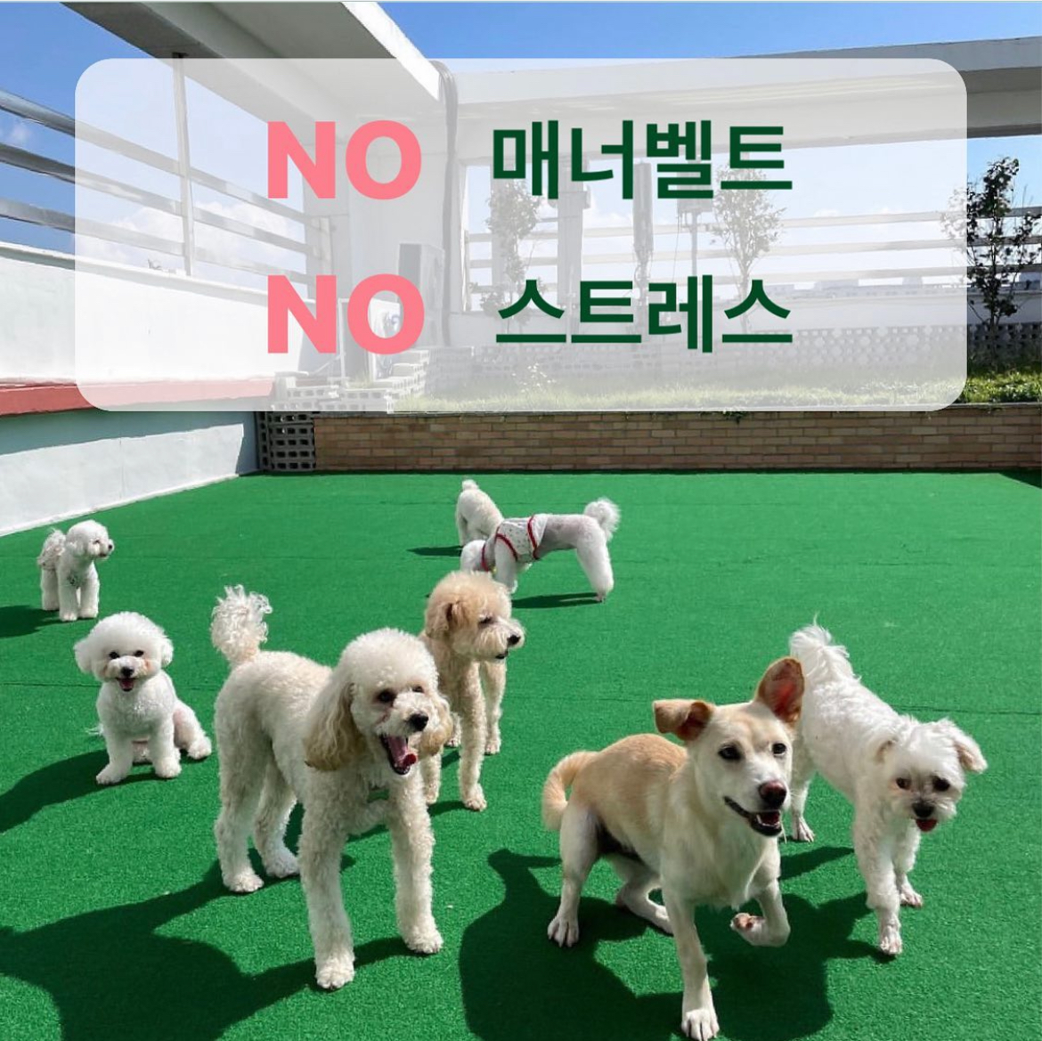 컴피