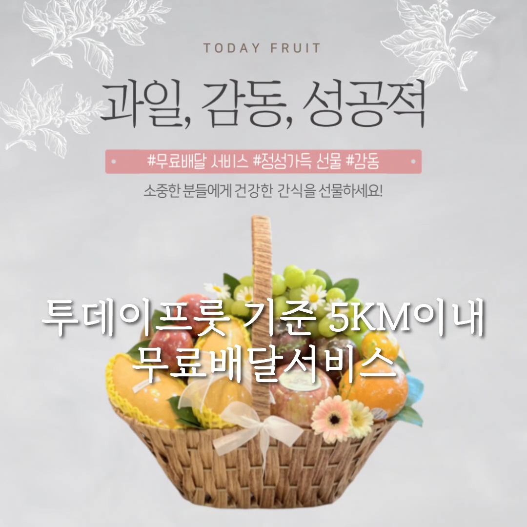 투데이프룻