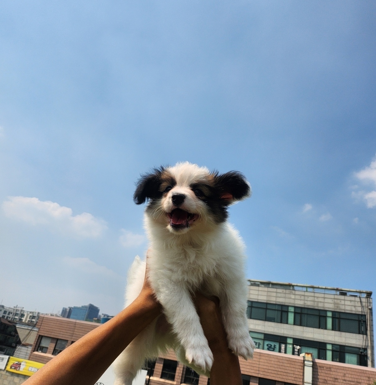 킨더라스 대표 이미지