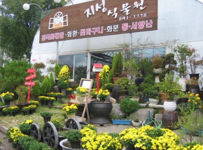 지성꽃식물원