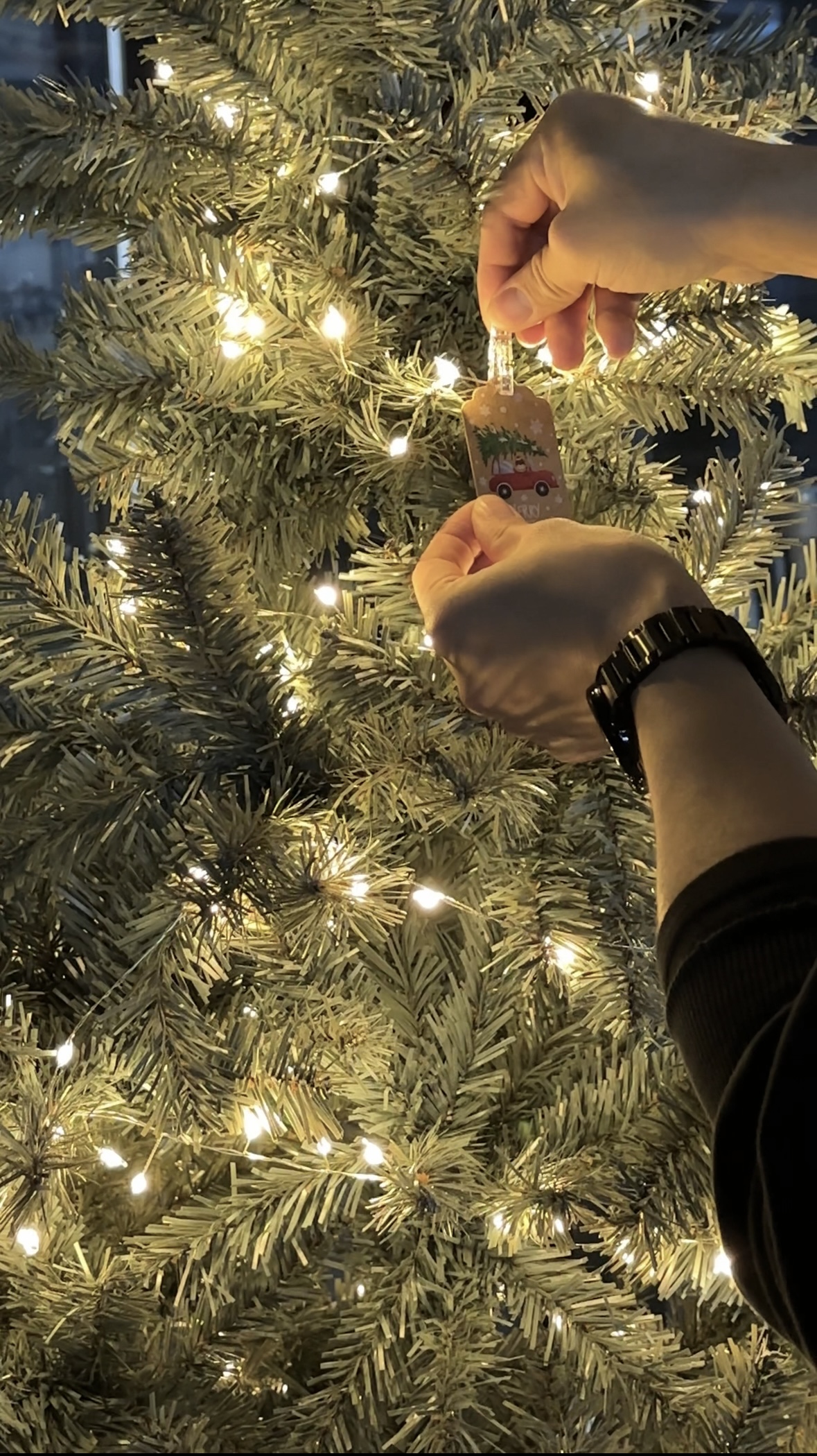 이즈짐 대표 이미지