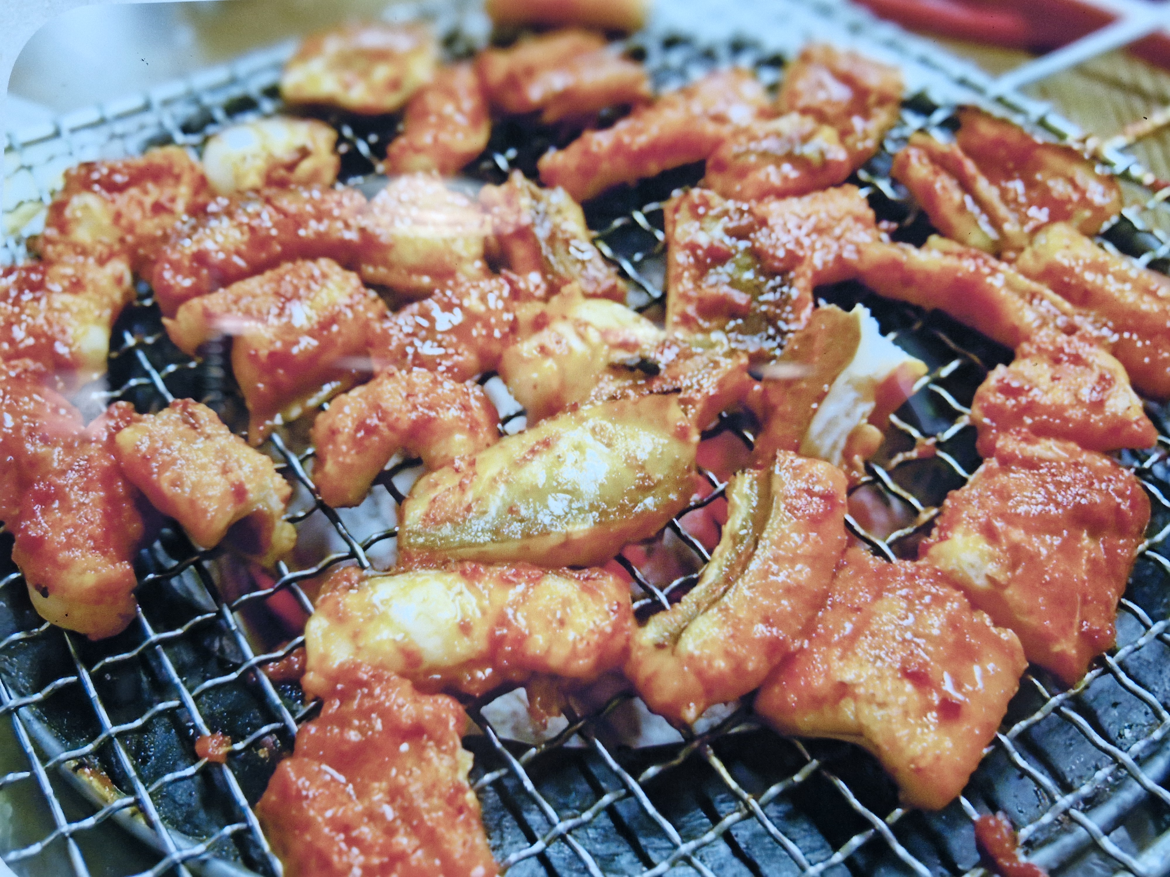 원조산호숯불아나고곰장어 동변점