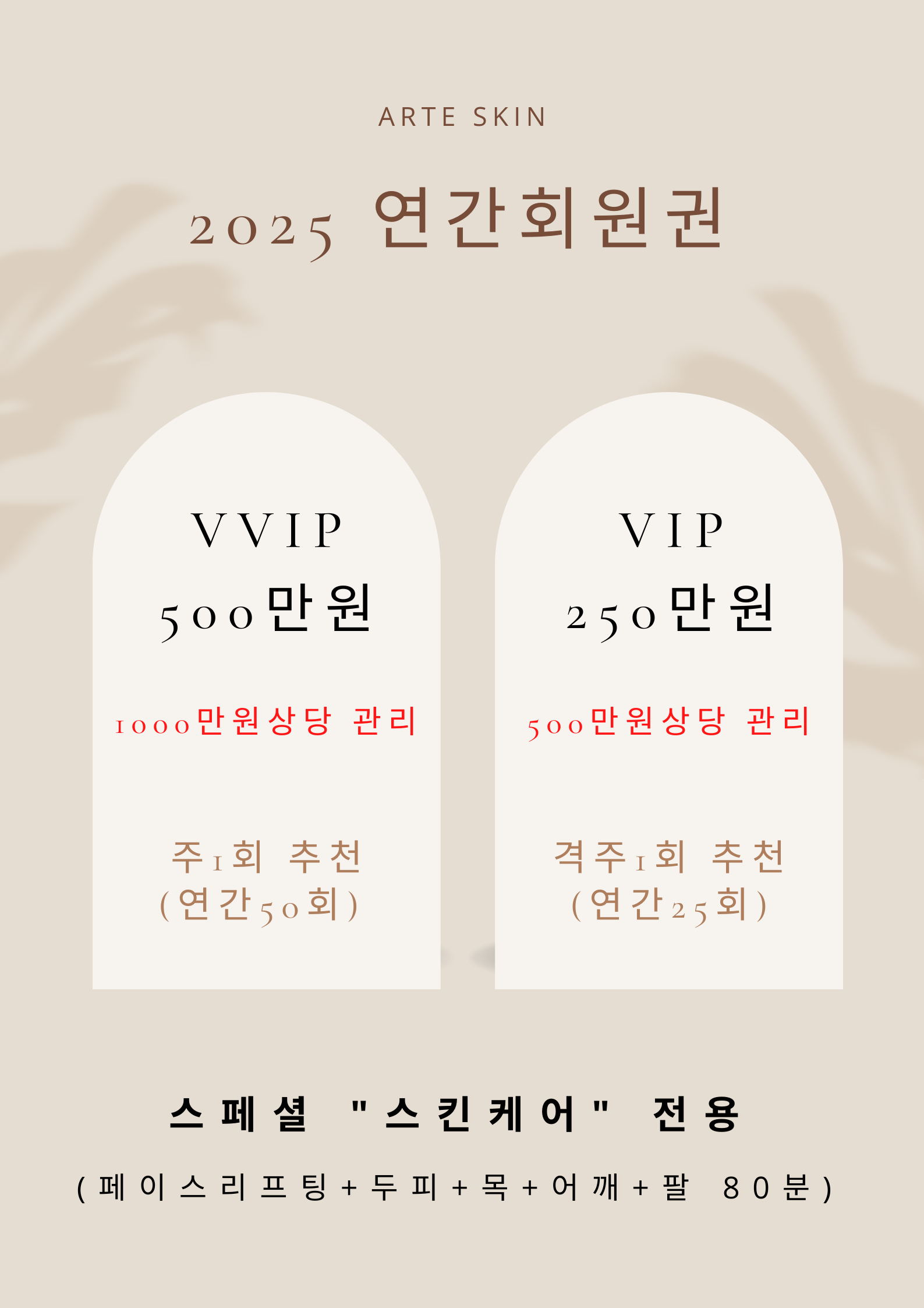 아르떼스킨