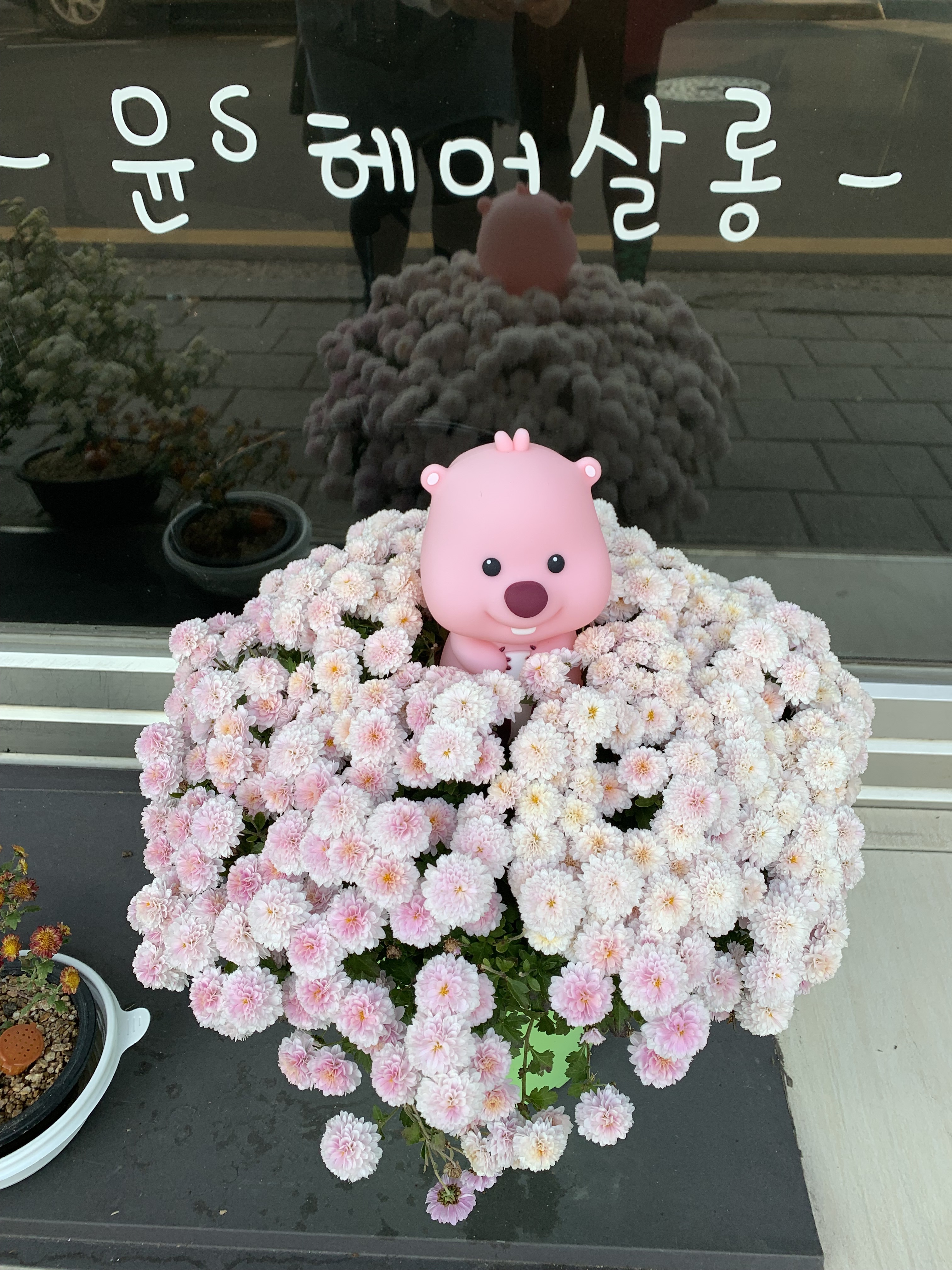 윤s헤어살롱