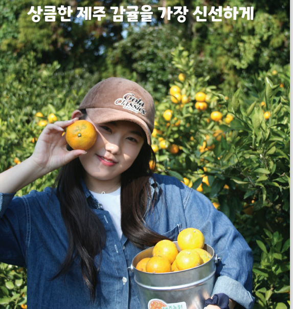 제주농원901