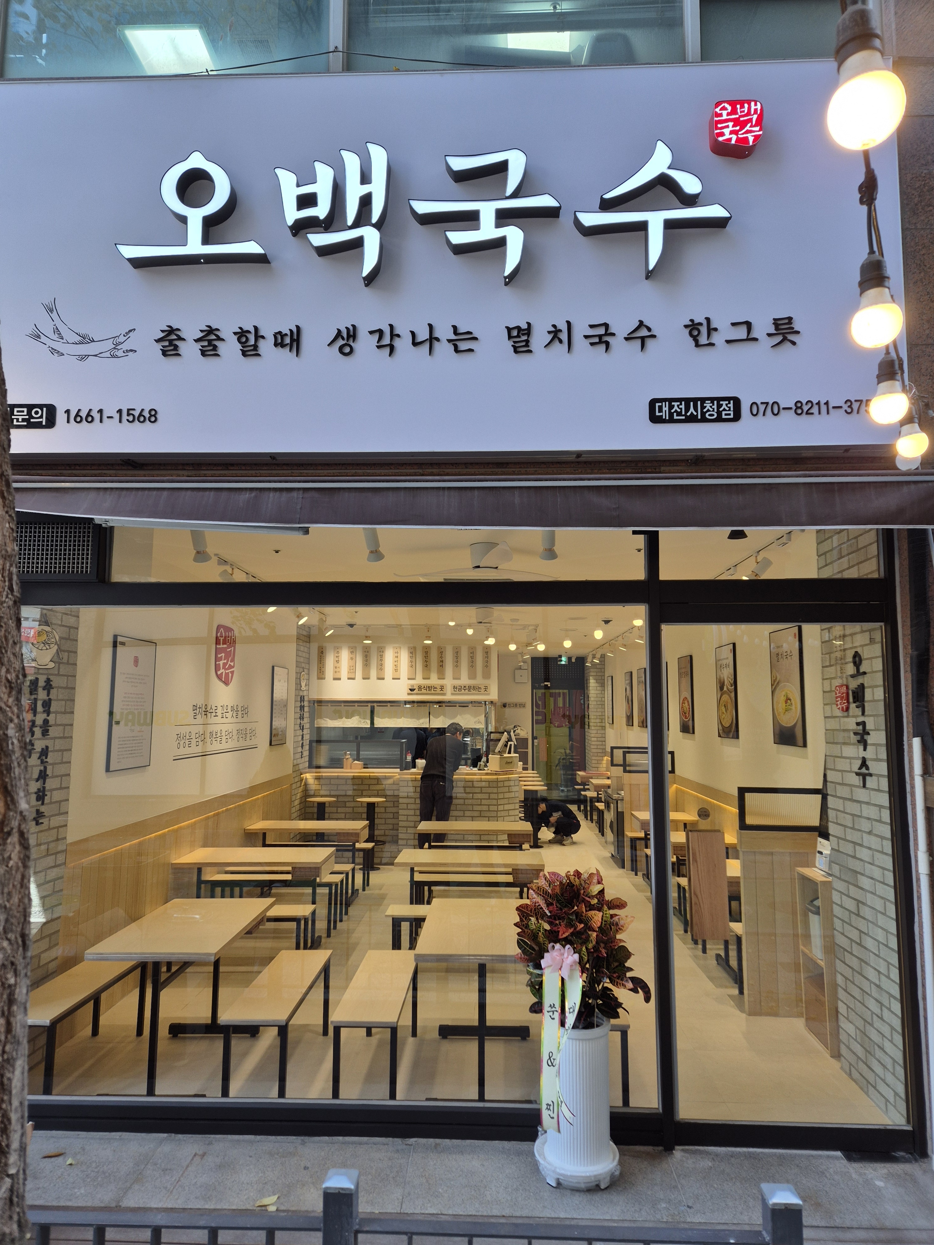 오백국수 대전시청점