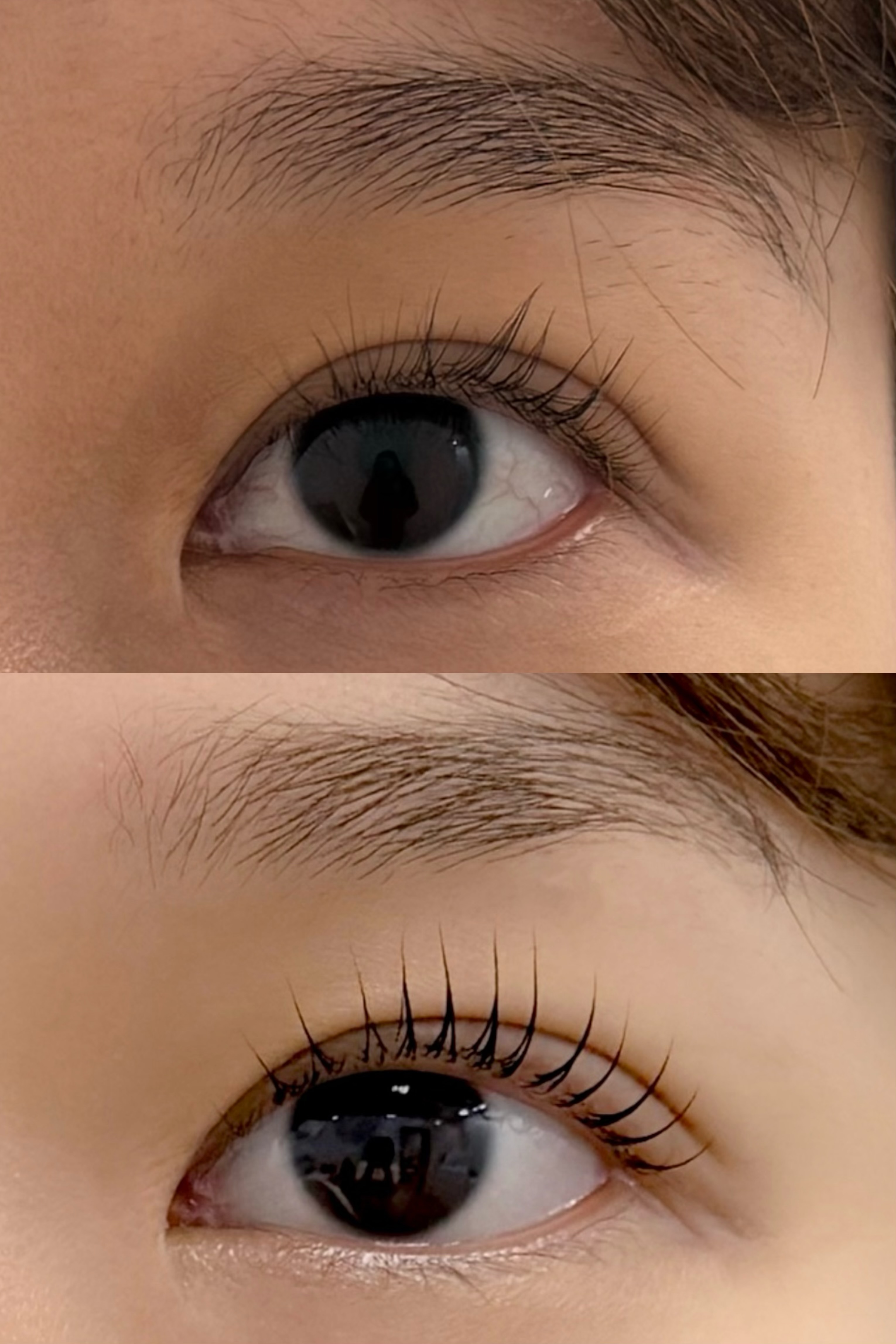 브러쉬업 대표 이미지