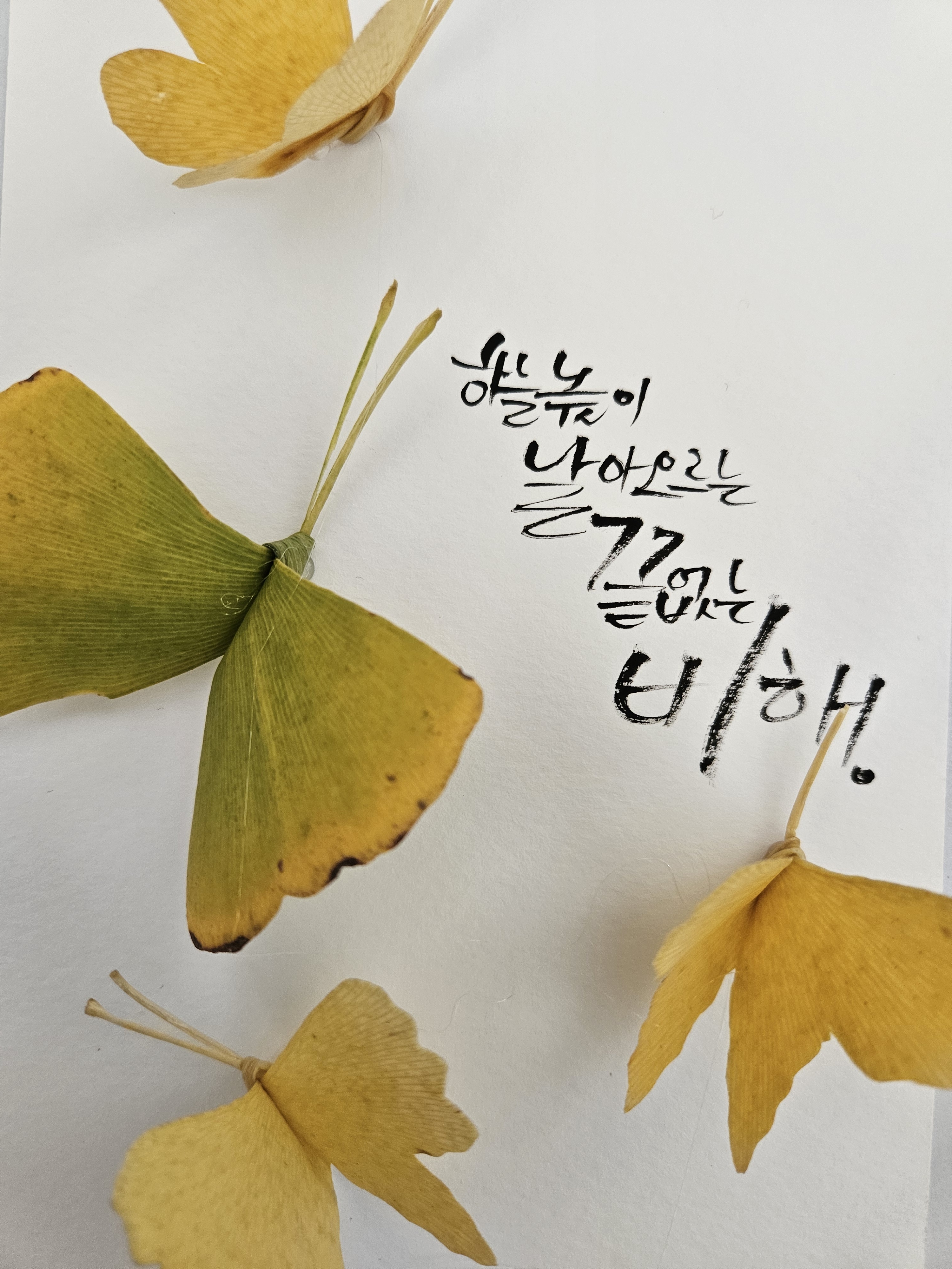 온새미로