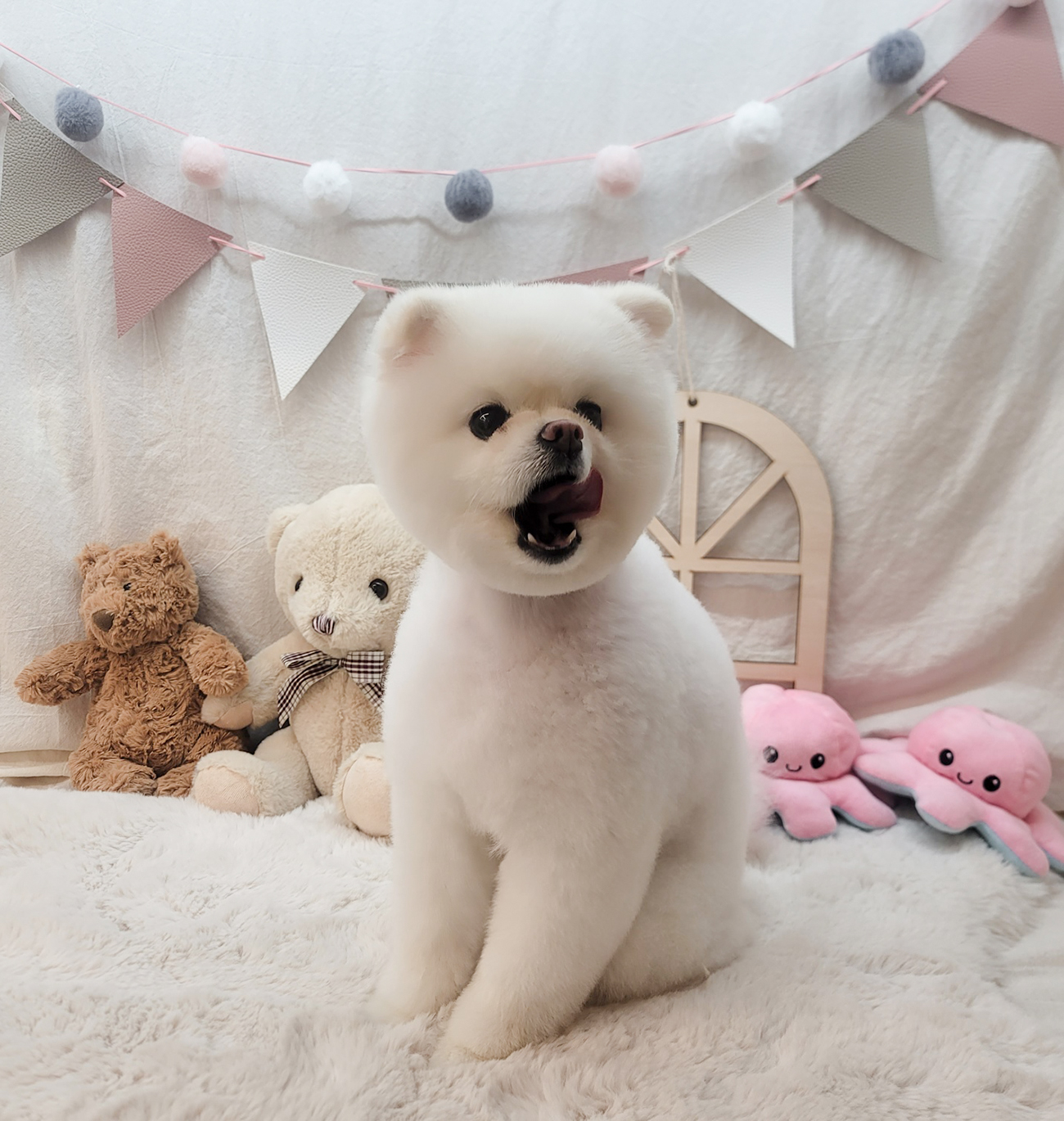 감성그루밍 대표 이미지