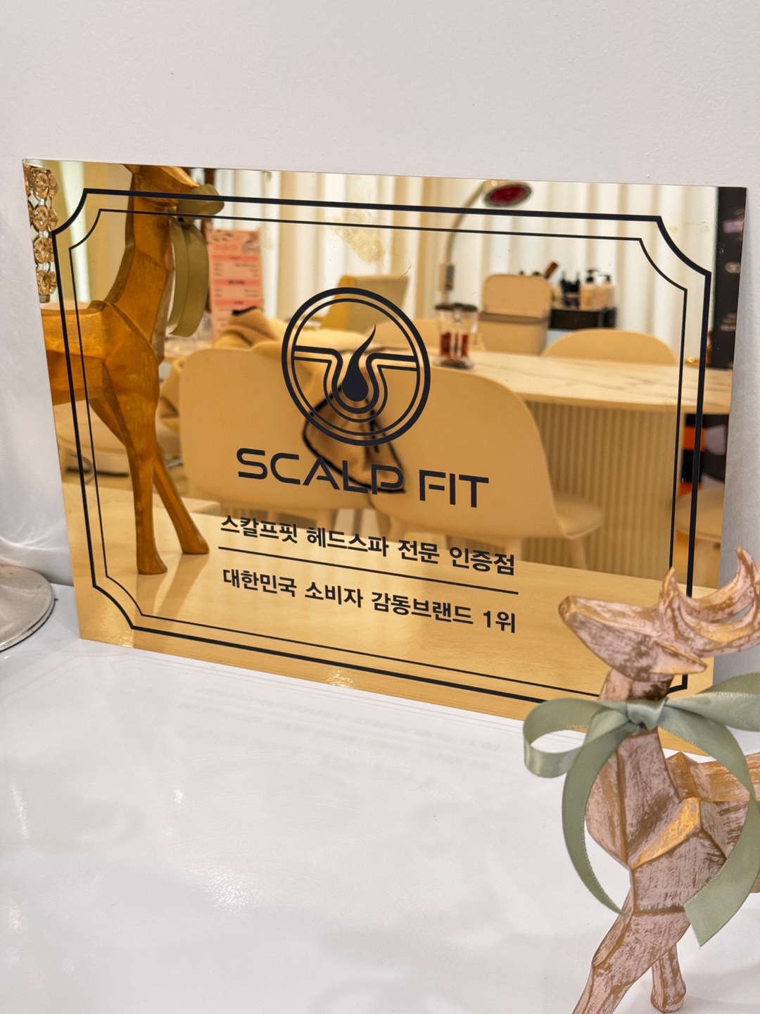 보담뷰티 대표 이미지