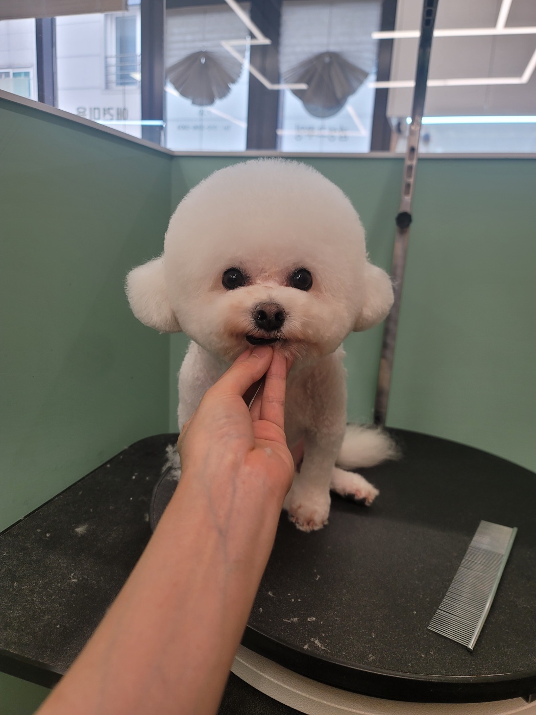 감성그루밍 대표 이미지