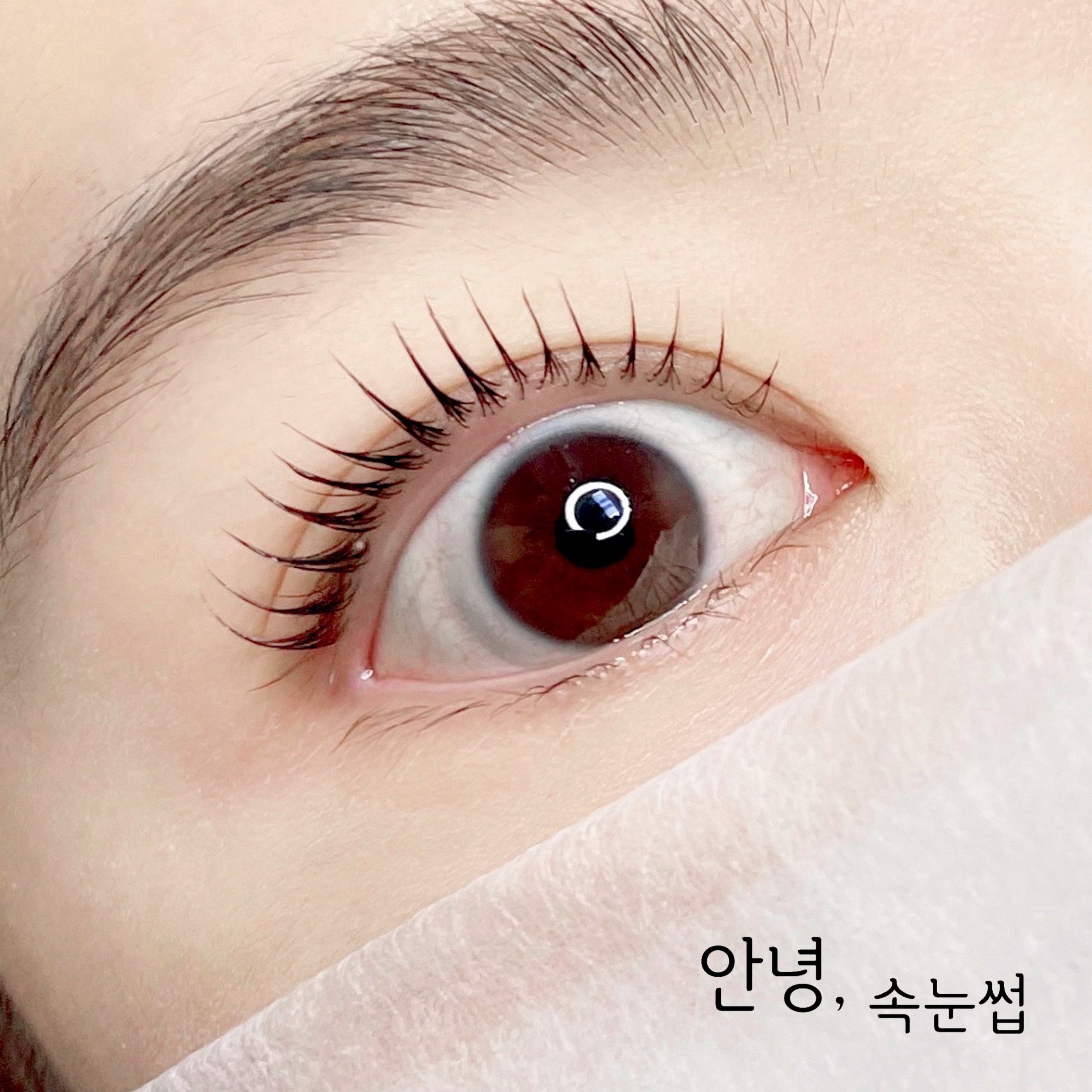 안녕,속눈썹