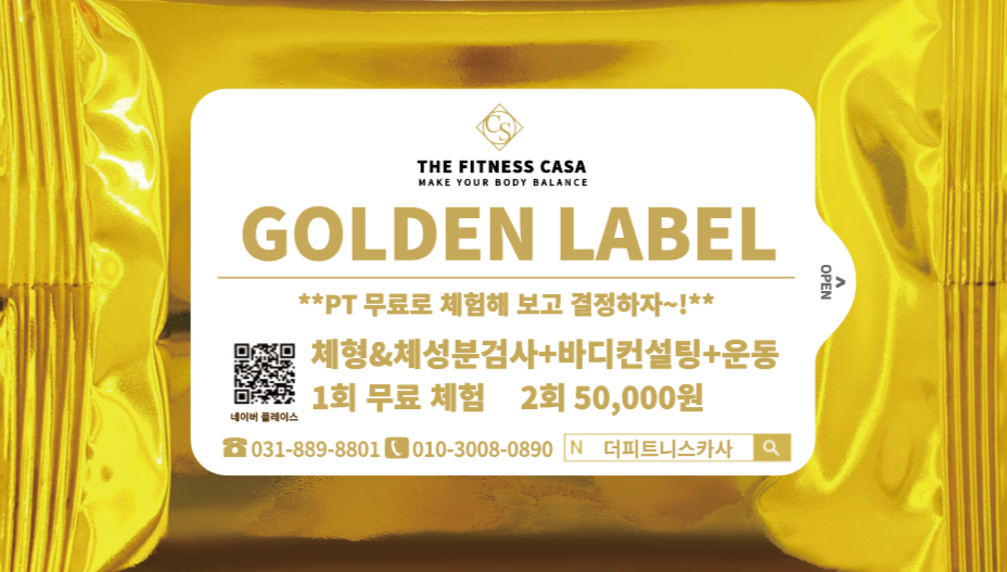 더 피트니스 카사