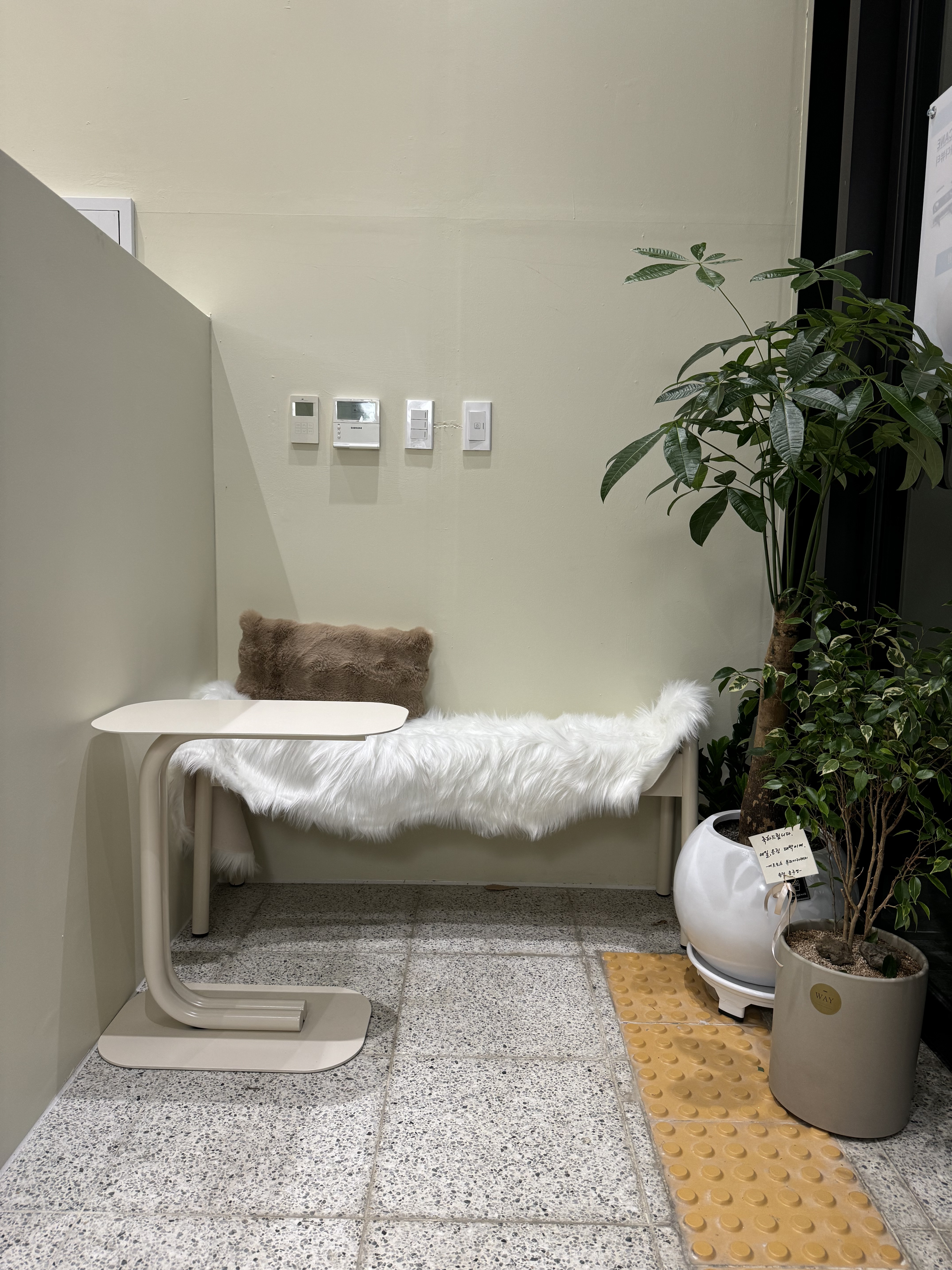 네일,은진 대표 이미지