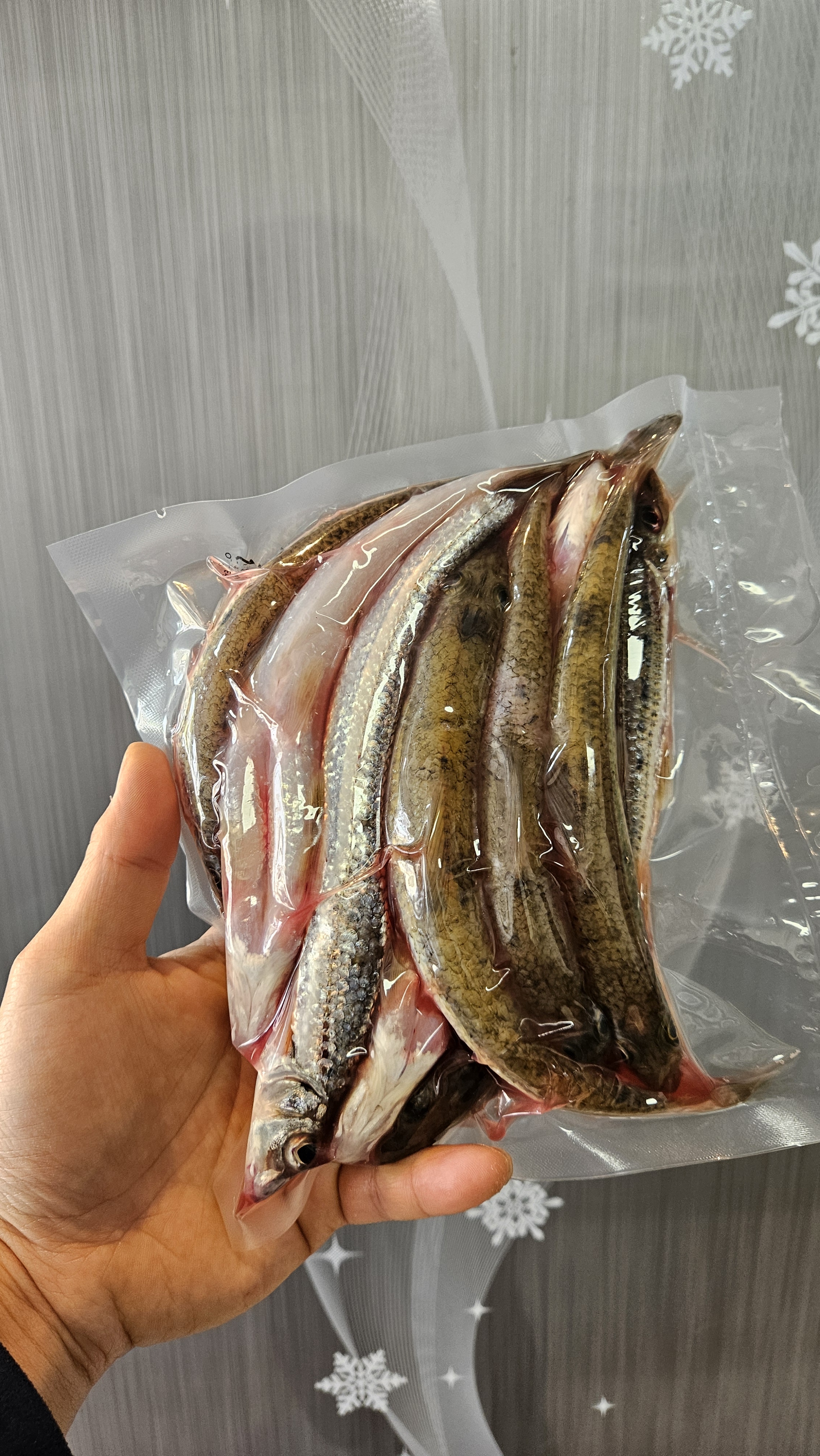 한탄강청년어부