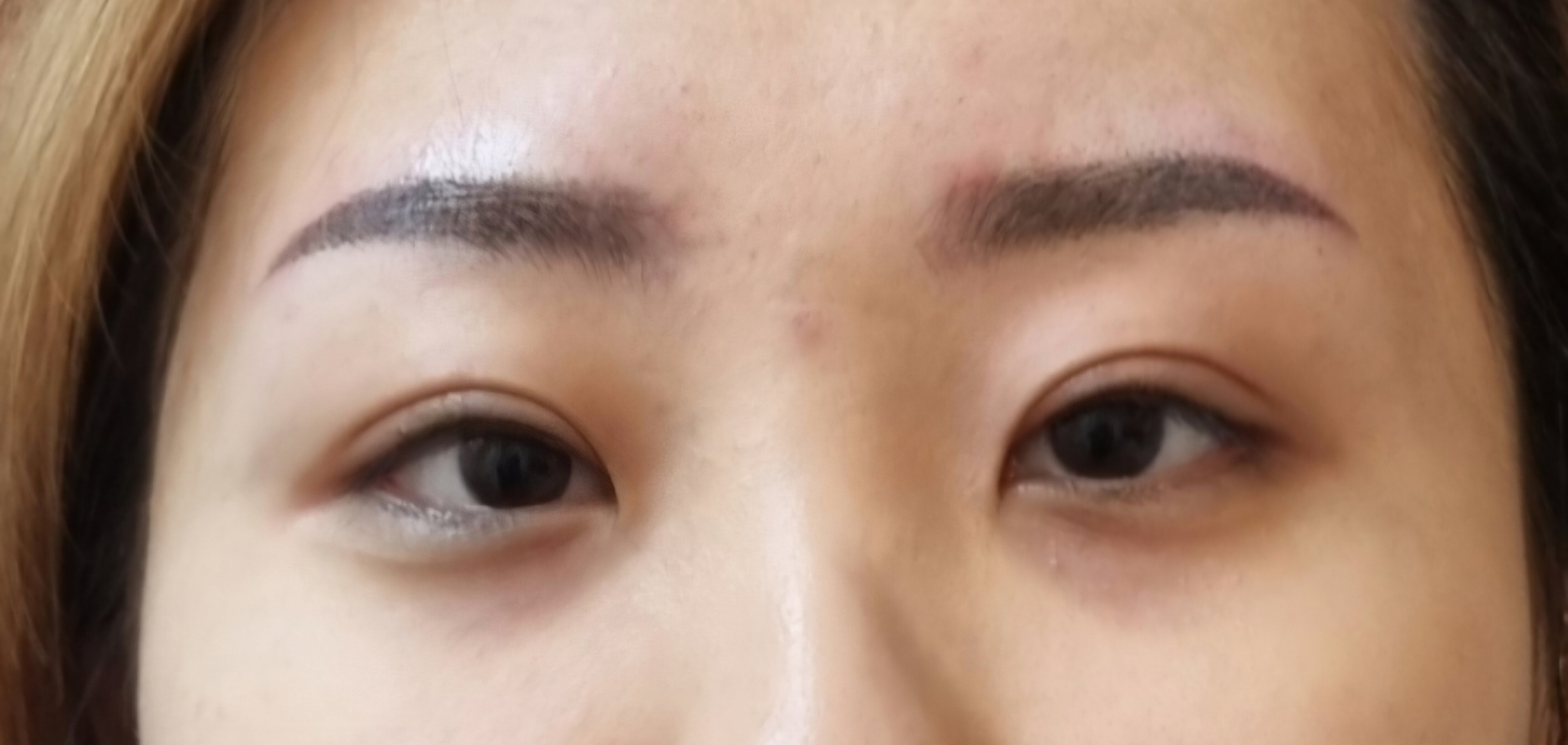 눈썹에반하다