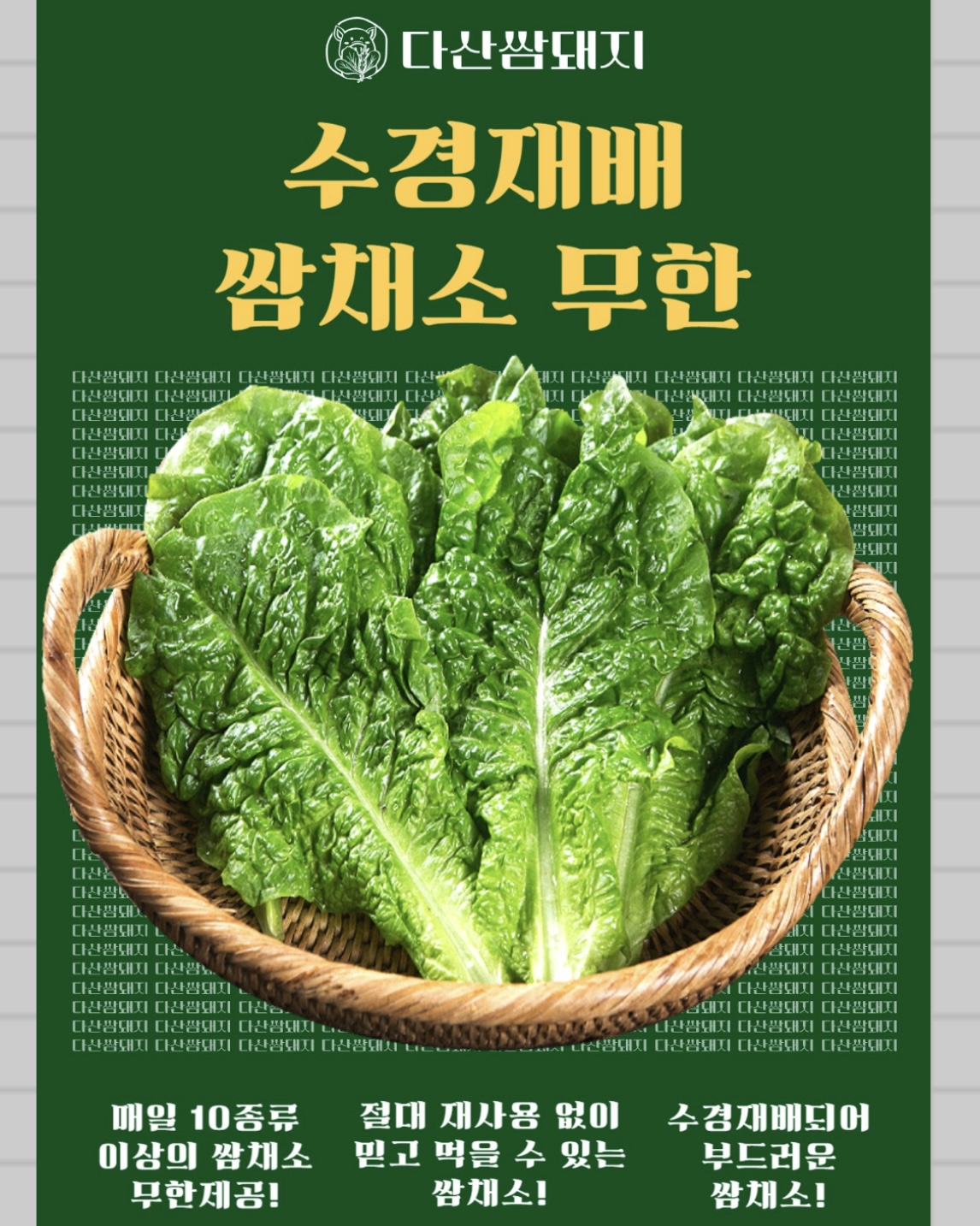 다산쌈돼지