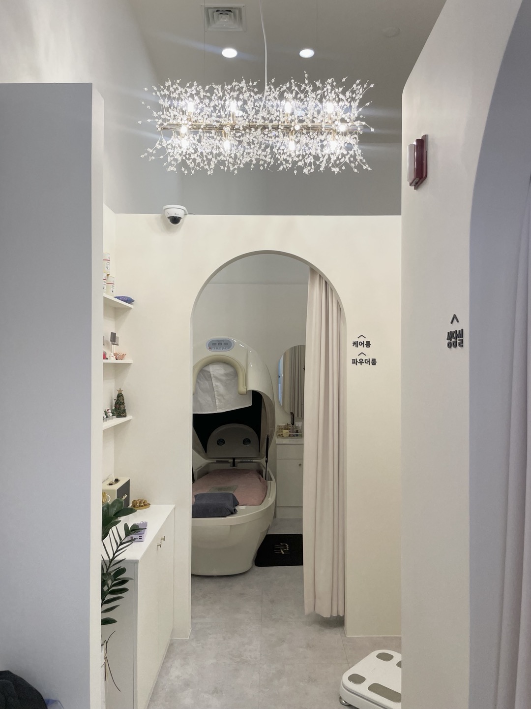 셀디온건강케어 대표 이미지