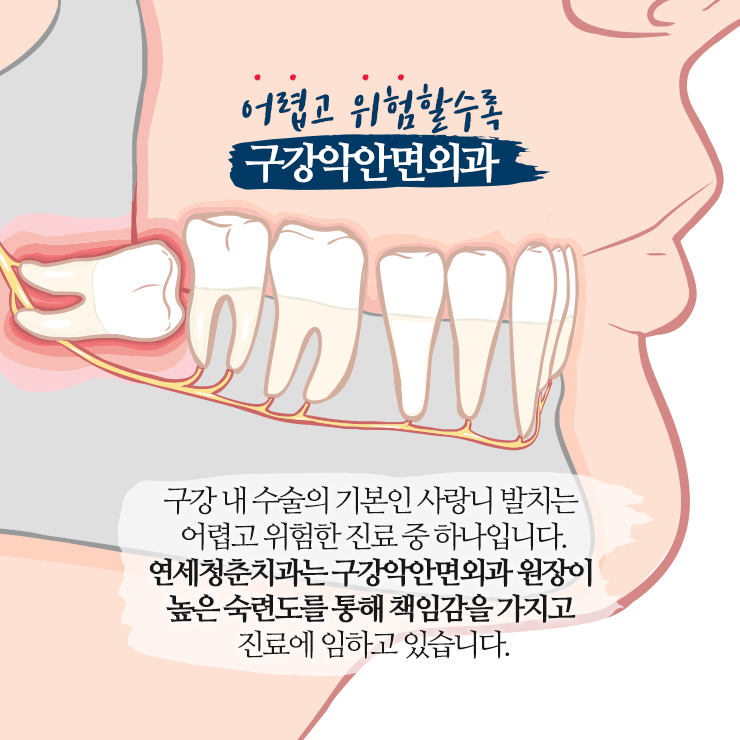 연세청춘치과의원 대표 이미지