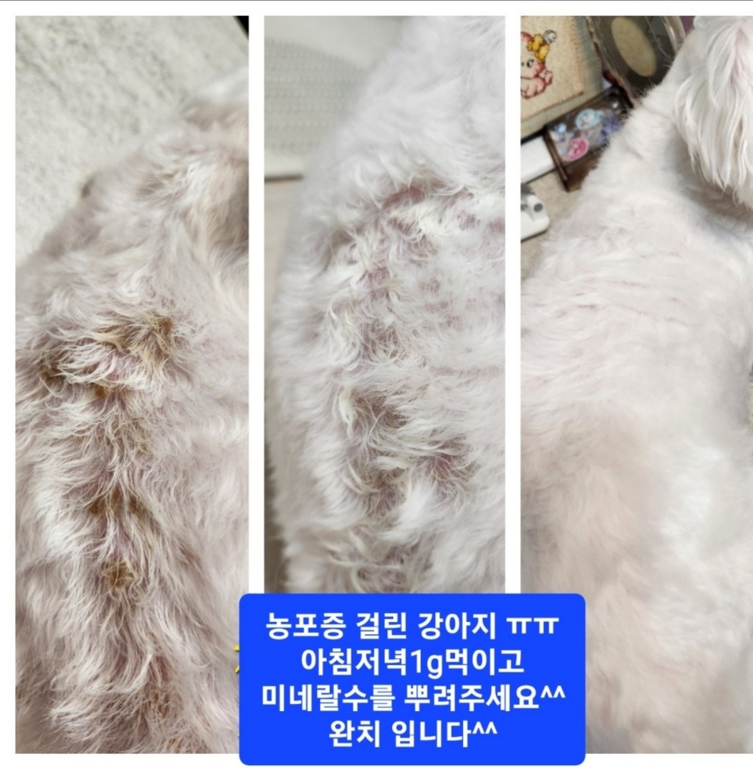큐사랑 서구청점 대표 이미지