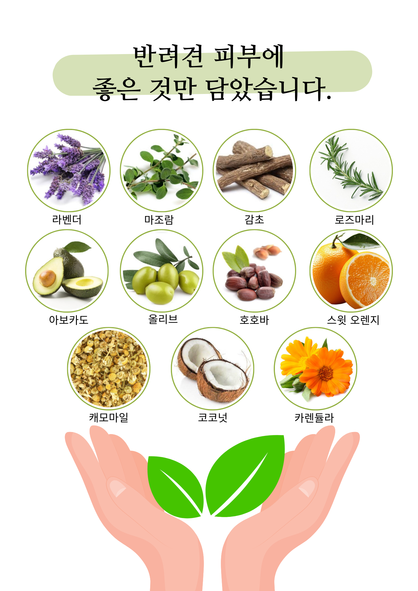 늘봄 아로마 공방with 반려견아로마테라피