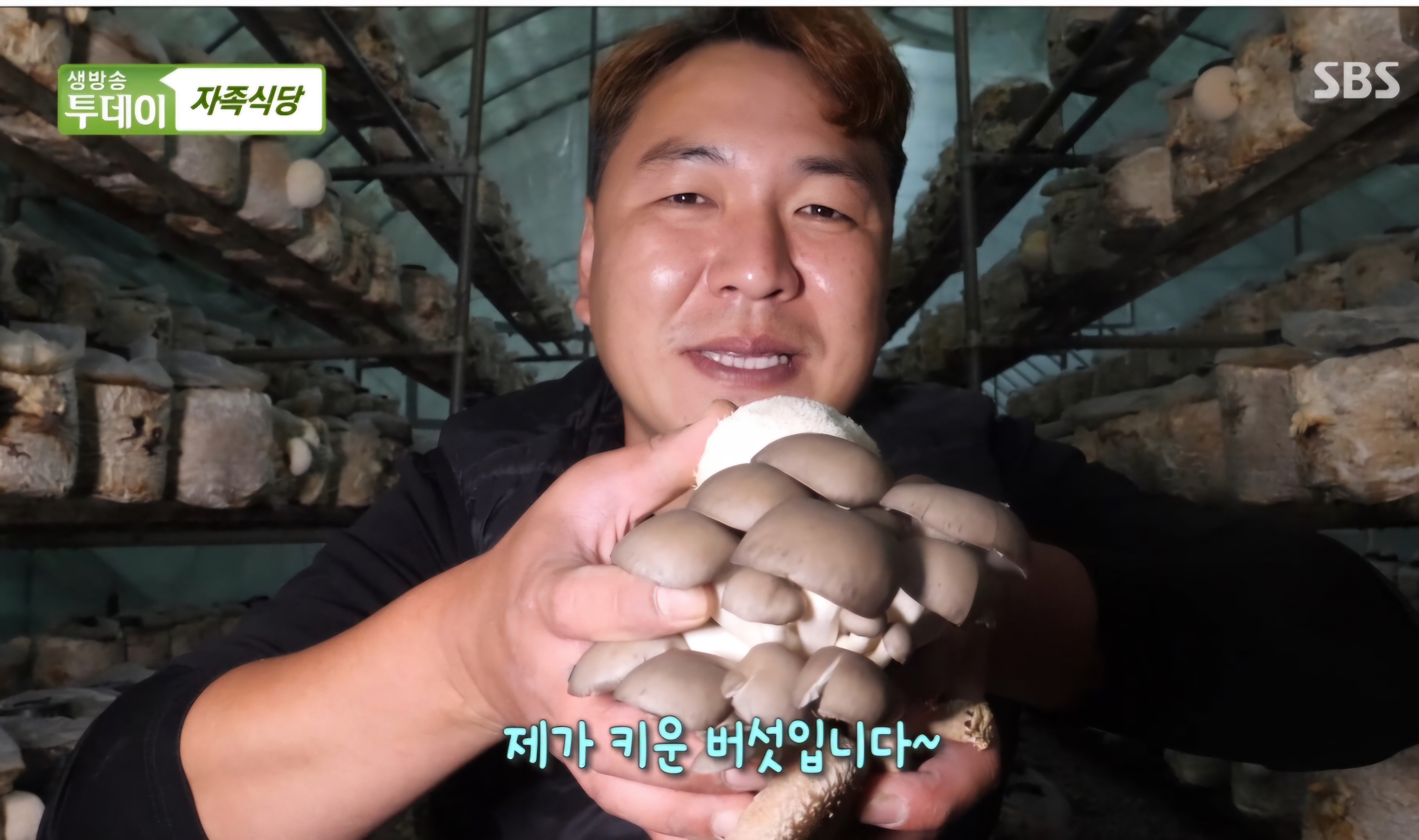 버섯칼국수