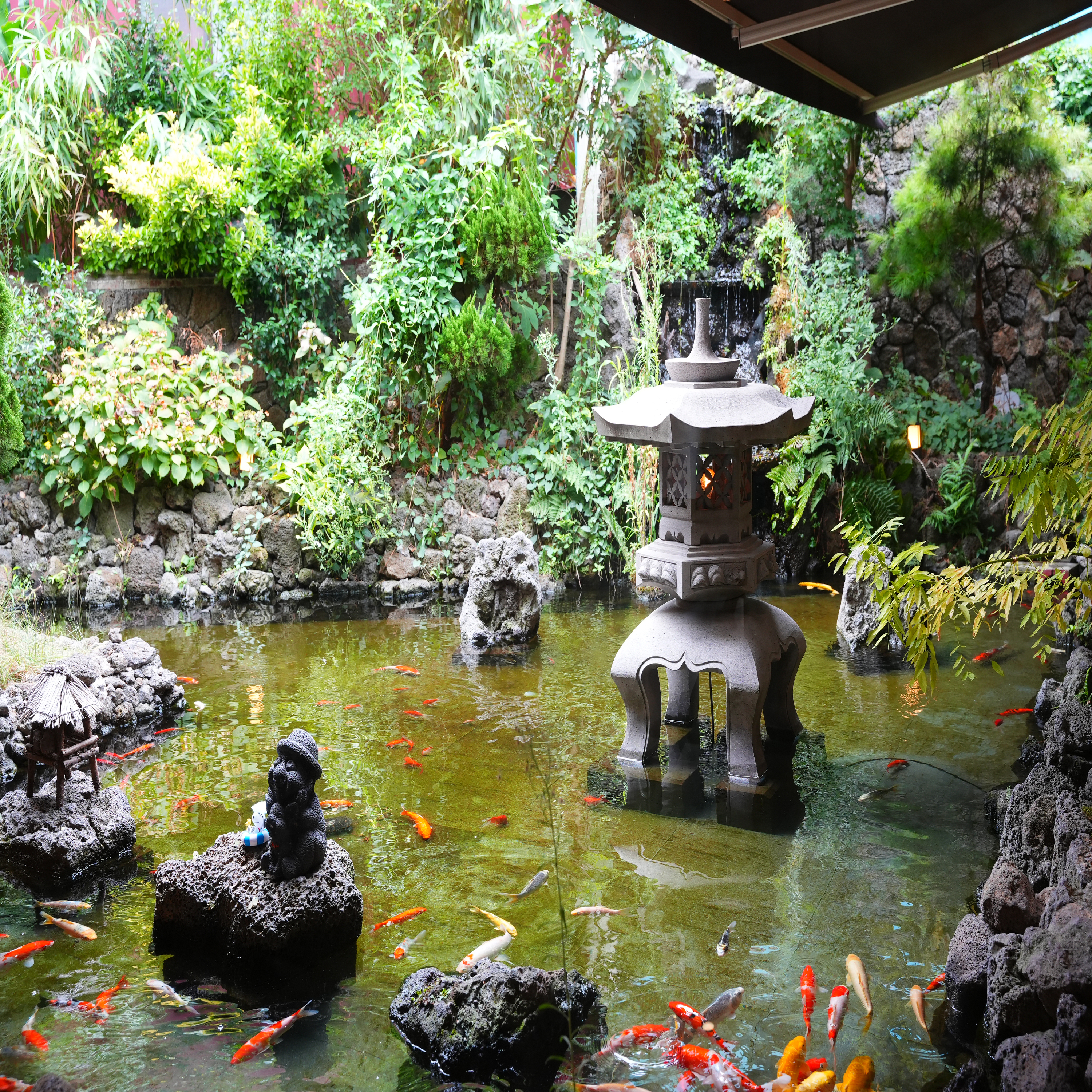 고국수 대표 이미지