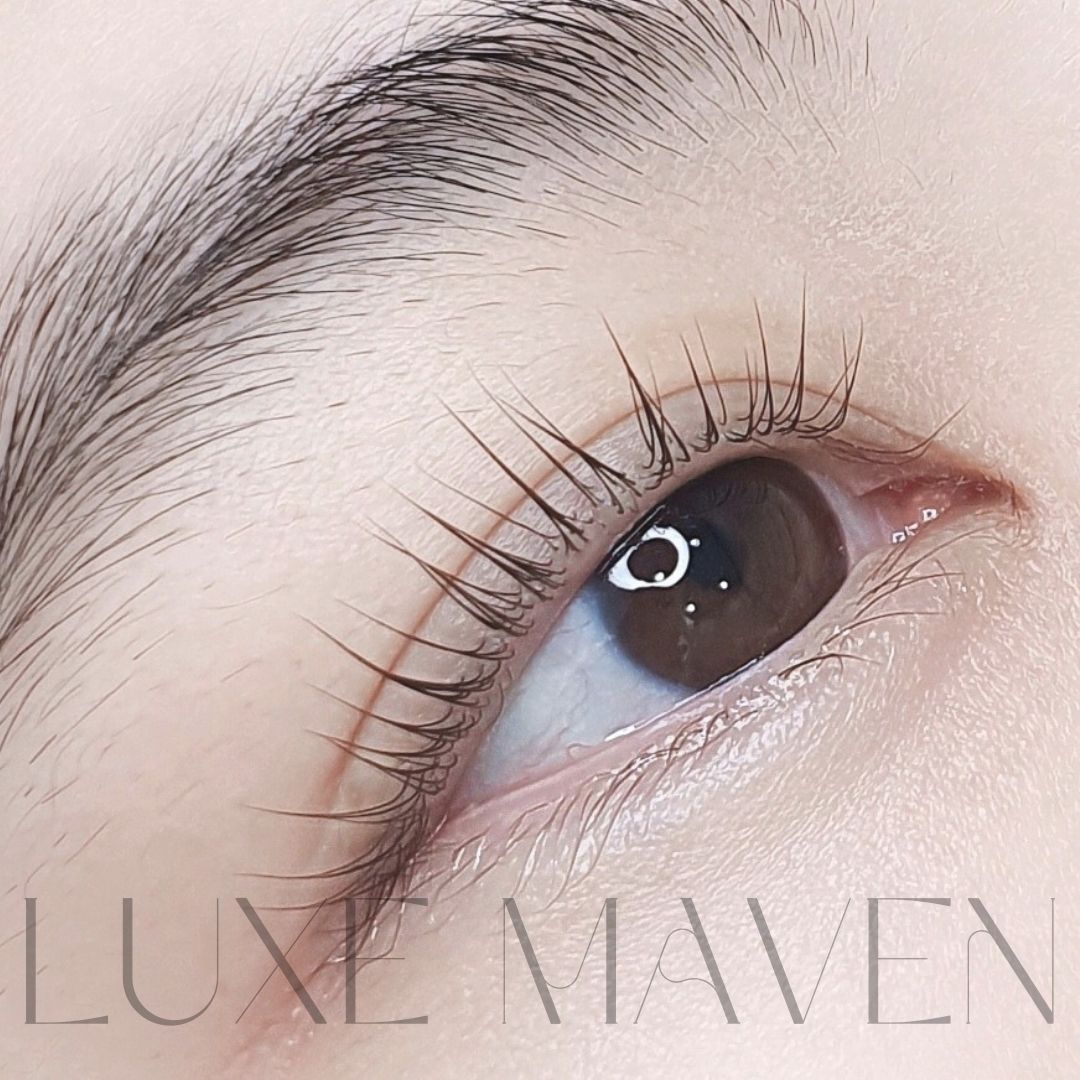 럭스메이븐 대표 이미지