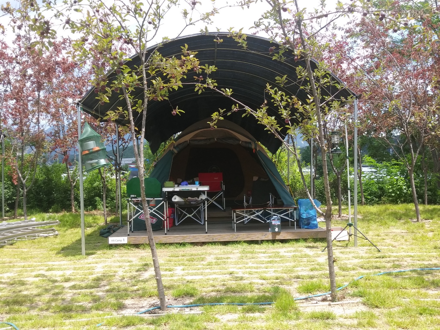 사진 4