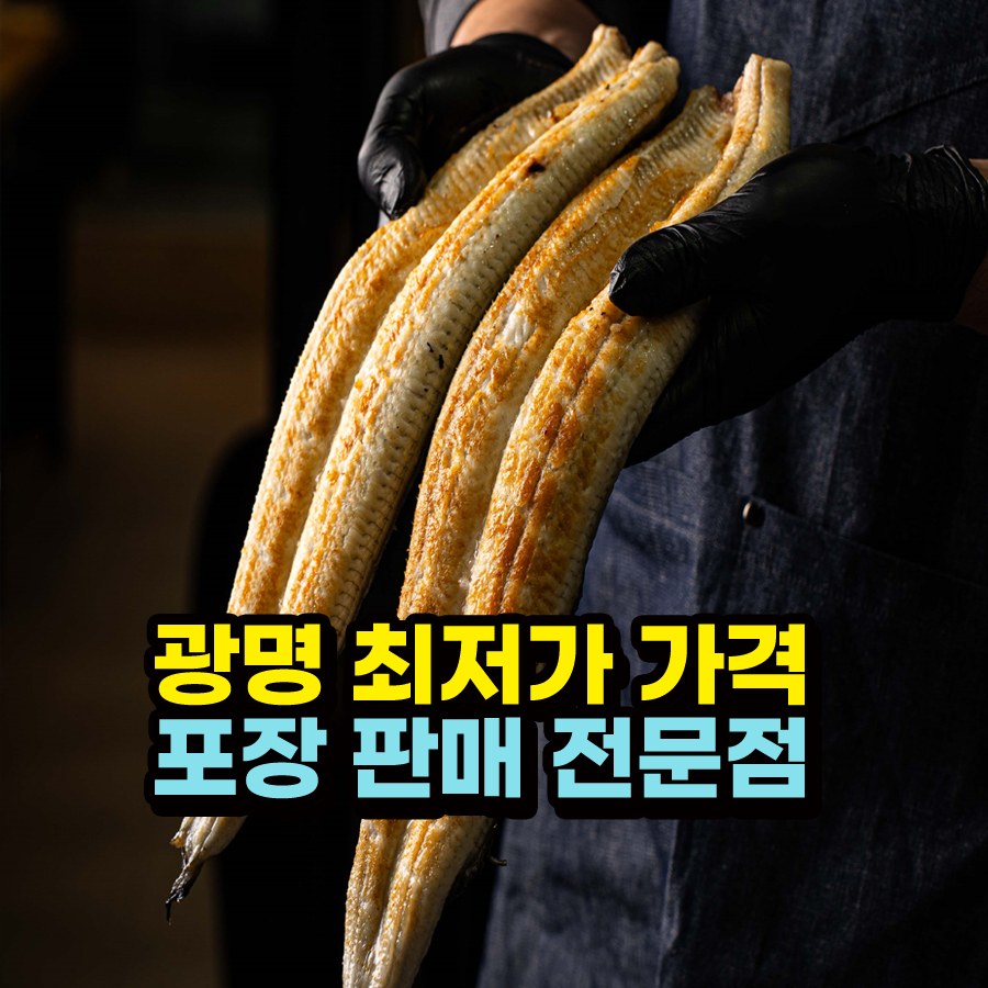 국대장어