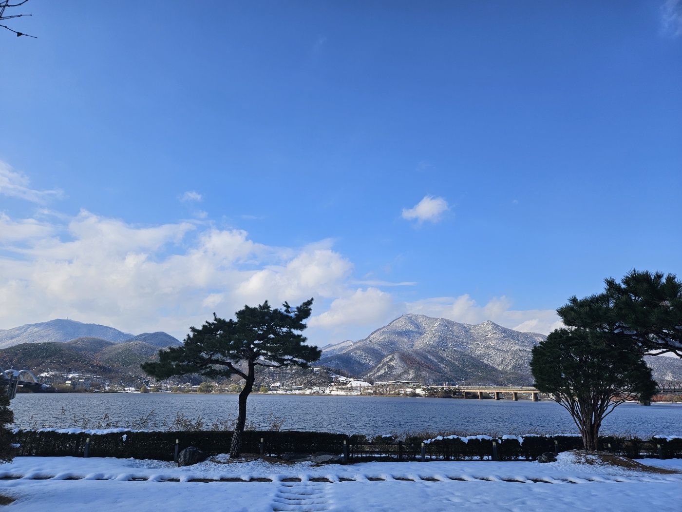 카페리노