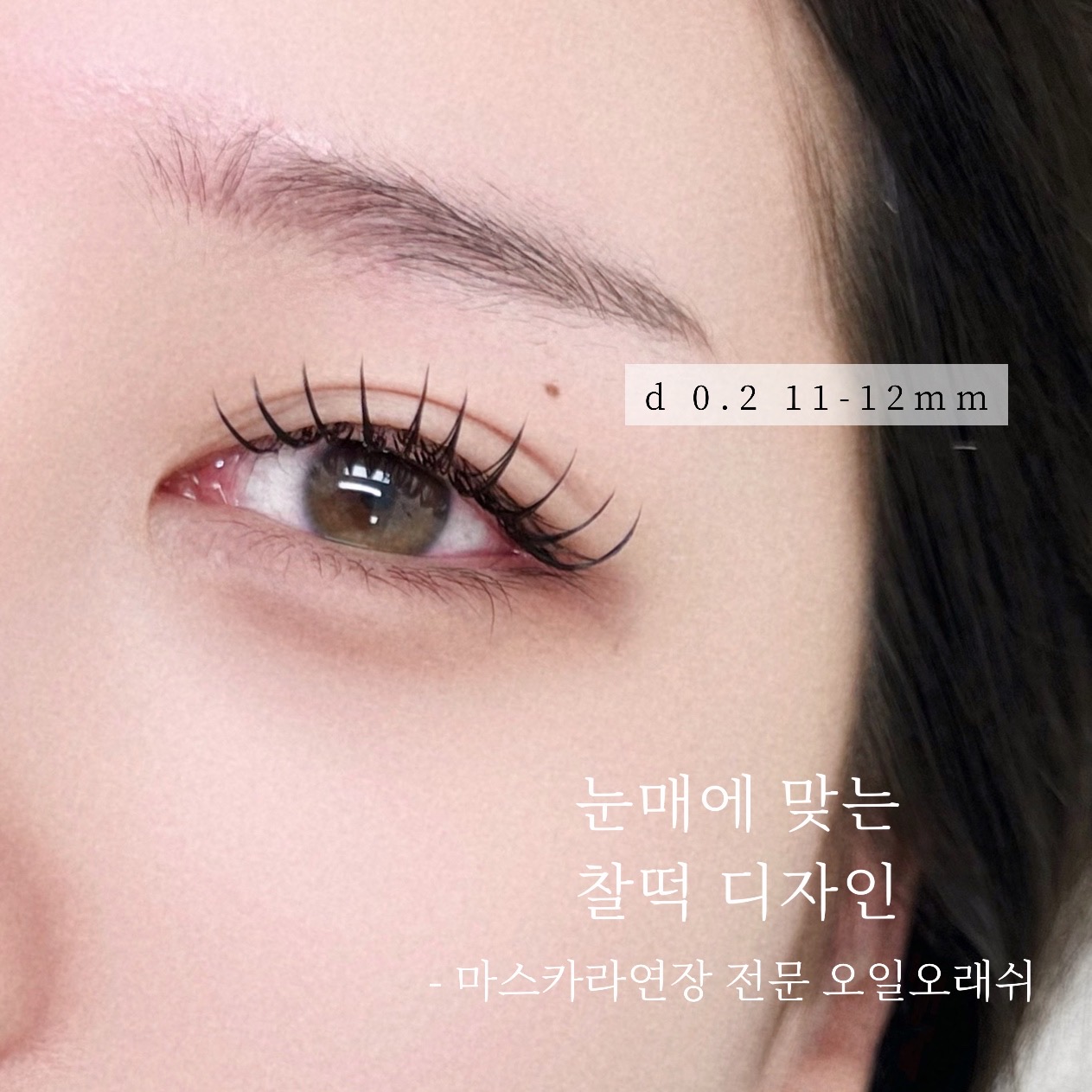 오일오래쉬