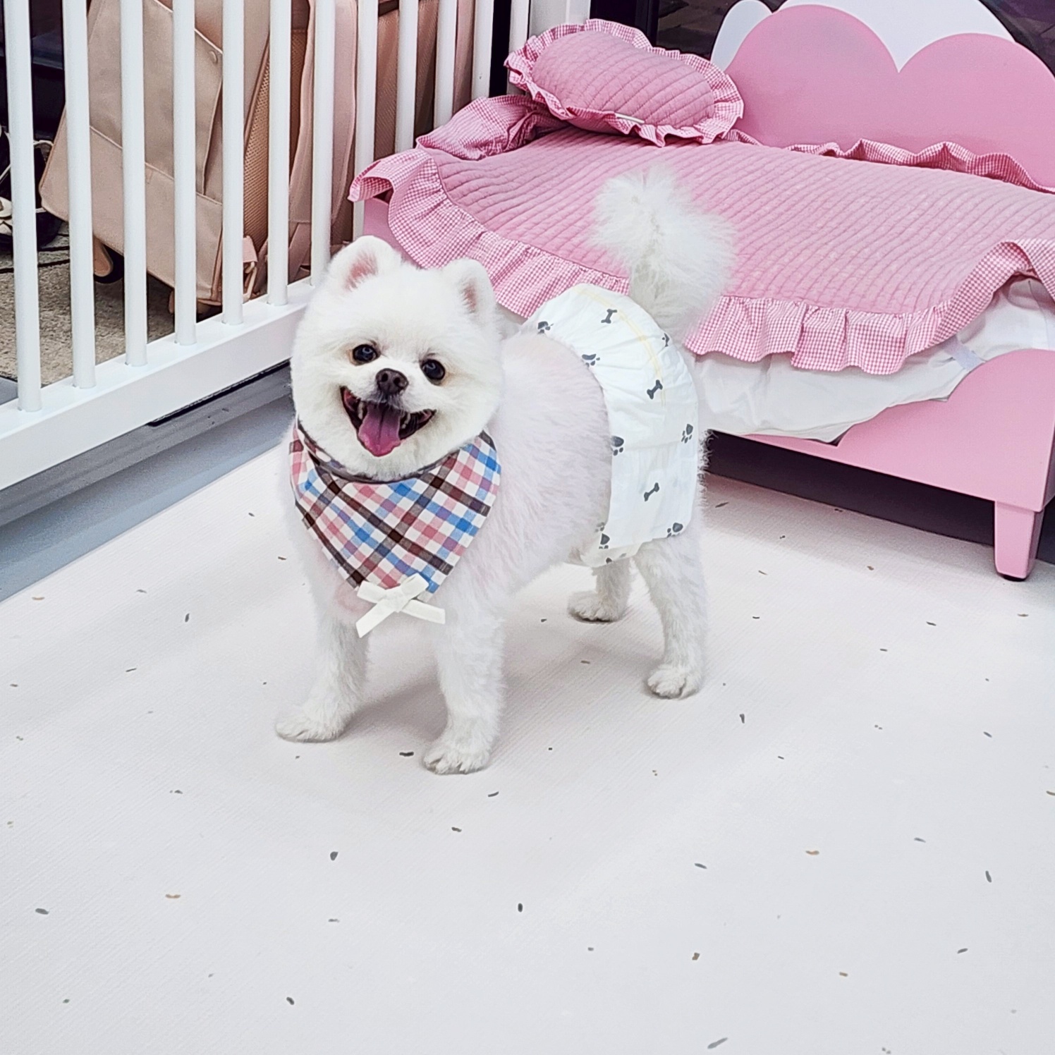 따숩개하우스